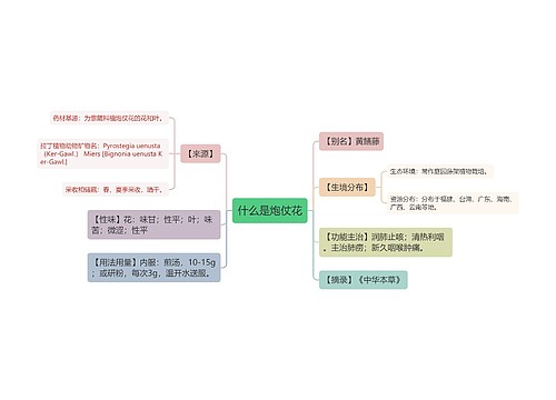 什么是炮仗花