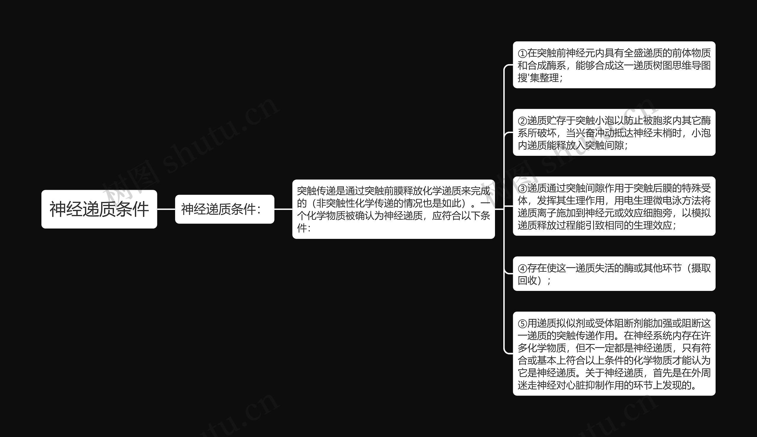 神经递质条件思维导图