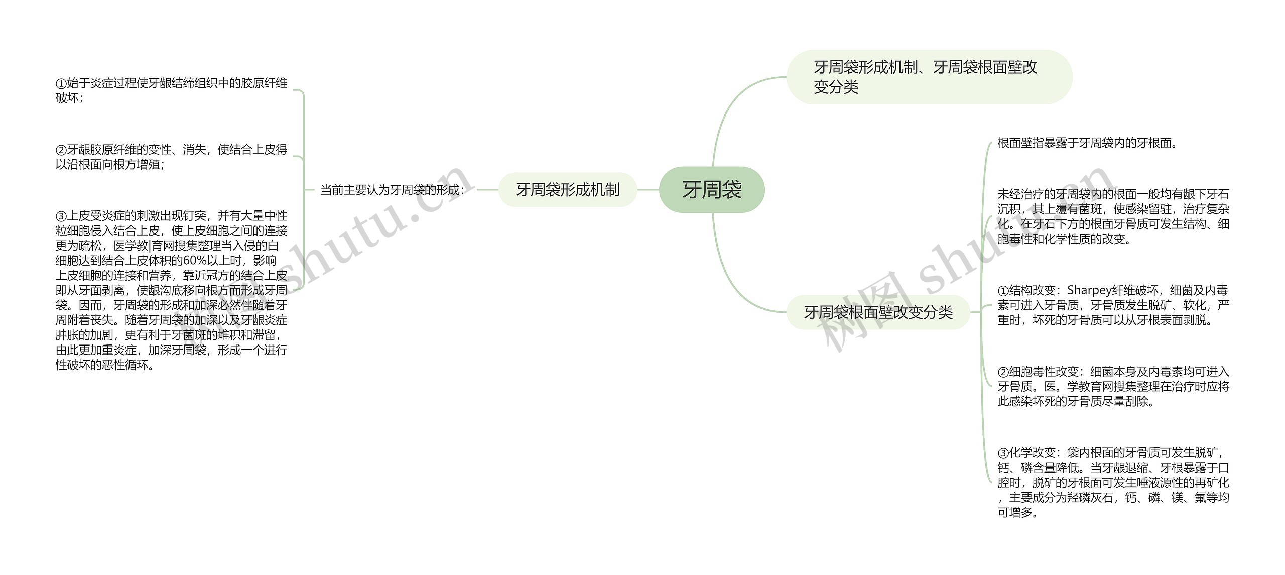 牙周袋思维导图