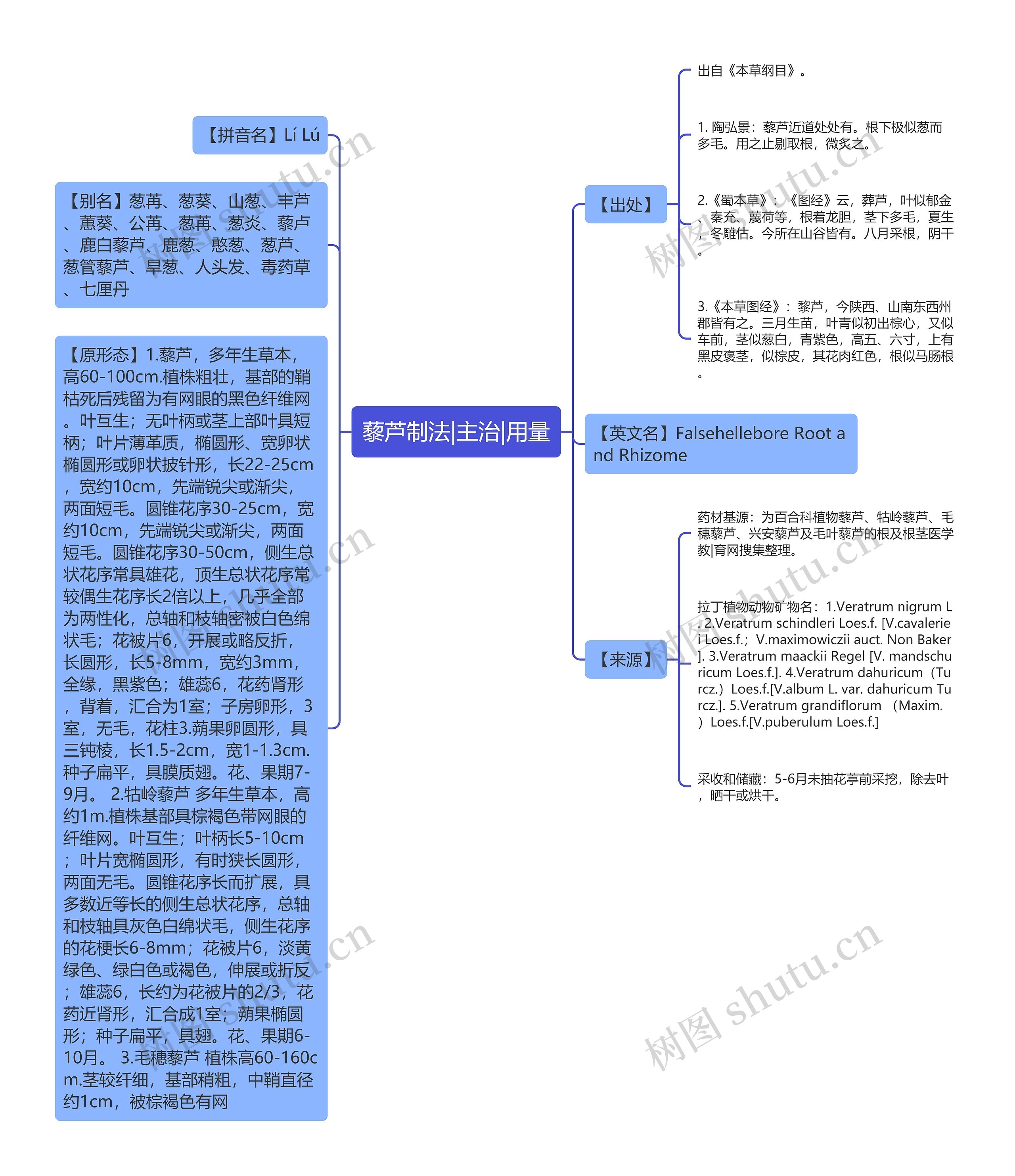 藜芦制法|主治|用量思维导图