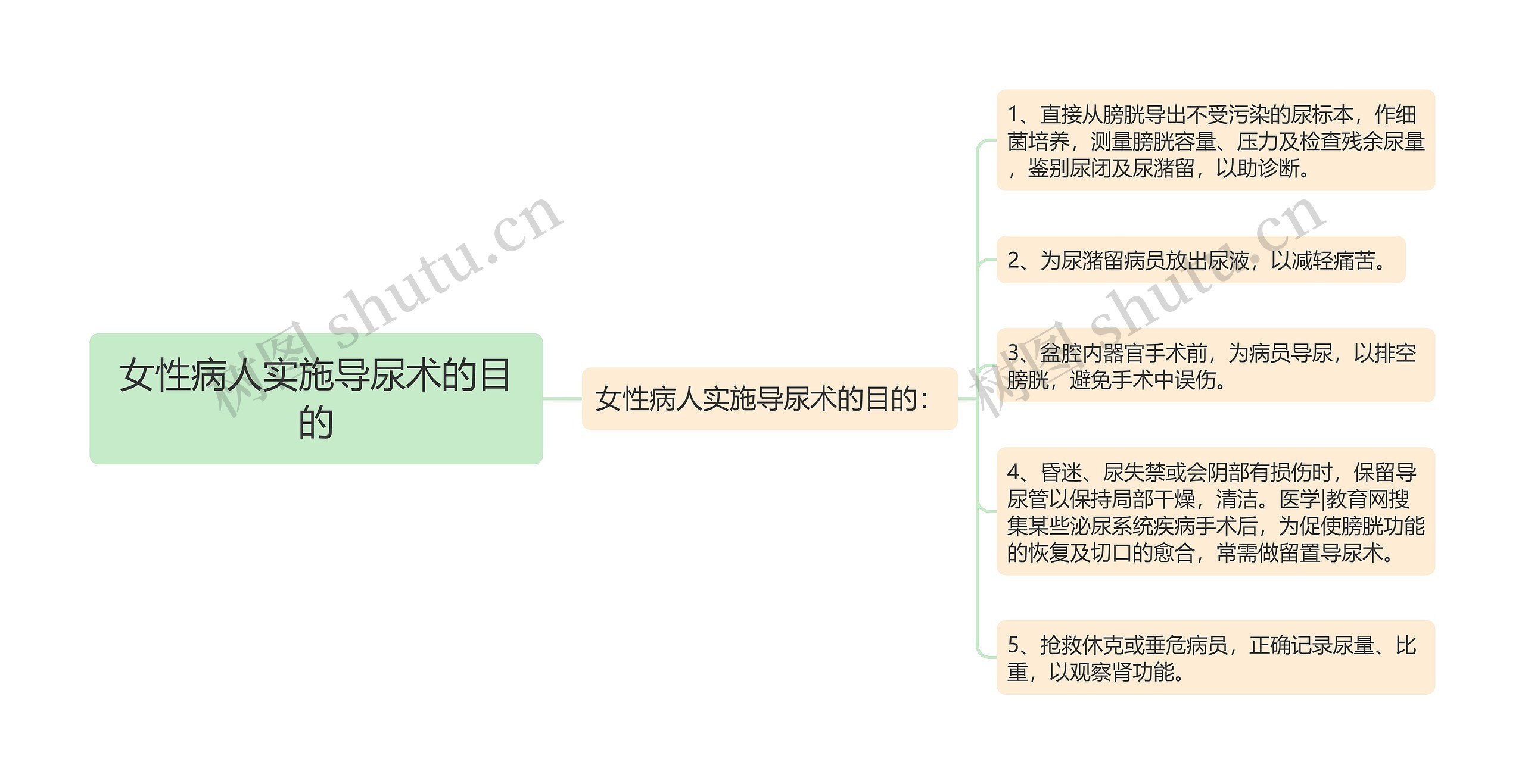 女性病人实施导尿术的目的思维导图