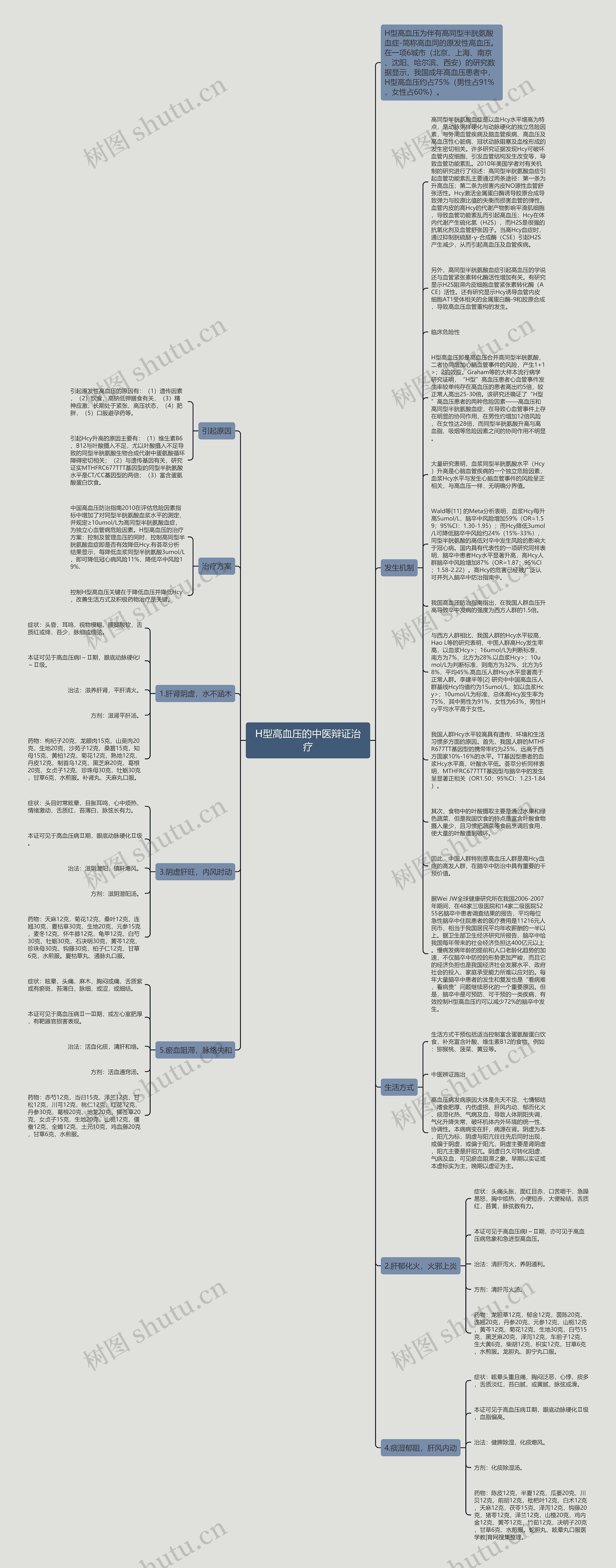 H型高血压的中医辩证治疗思维导图