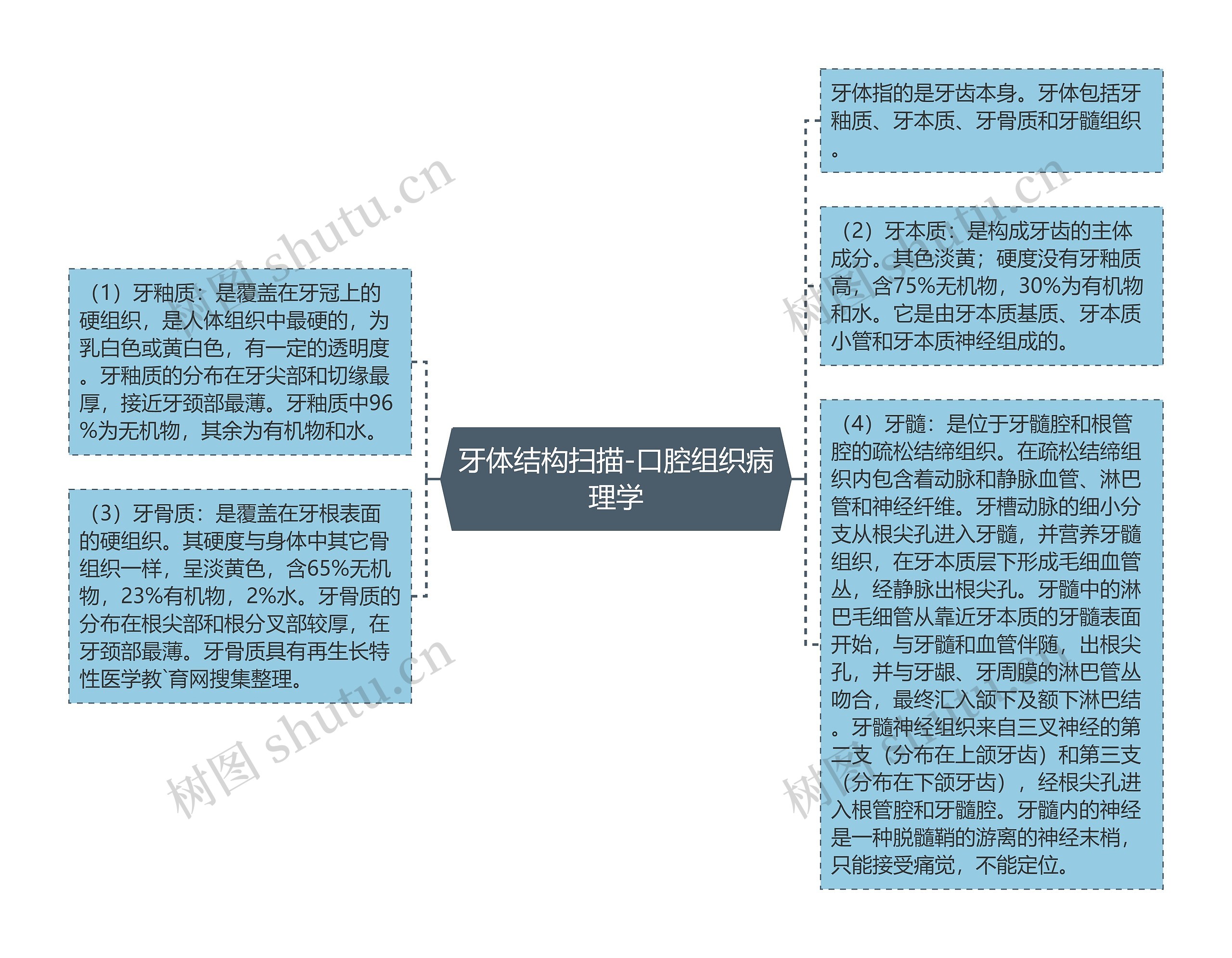 牙体结构扫描-口腔组织病理学思维导图