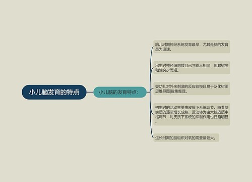 小儿脑发育的特点