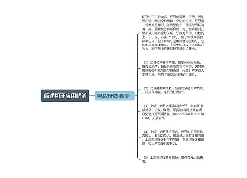 简述切牙应用解剖