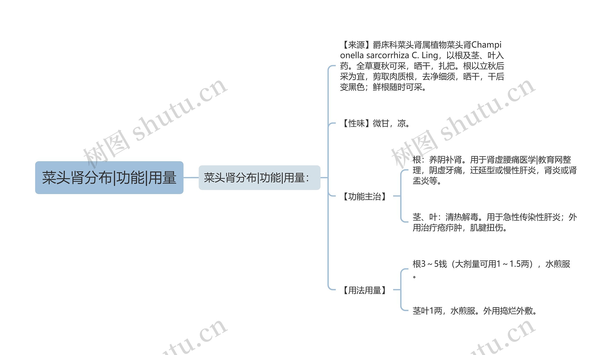 菜头肾分布|功能|用量