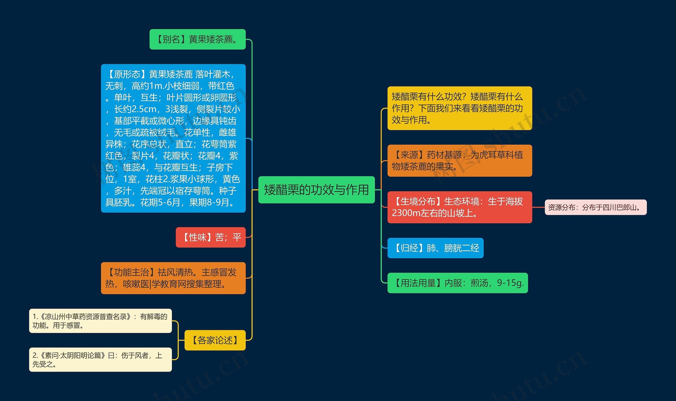 矮醋栗的功效与作用思维导图