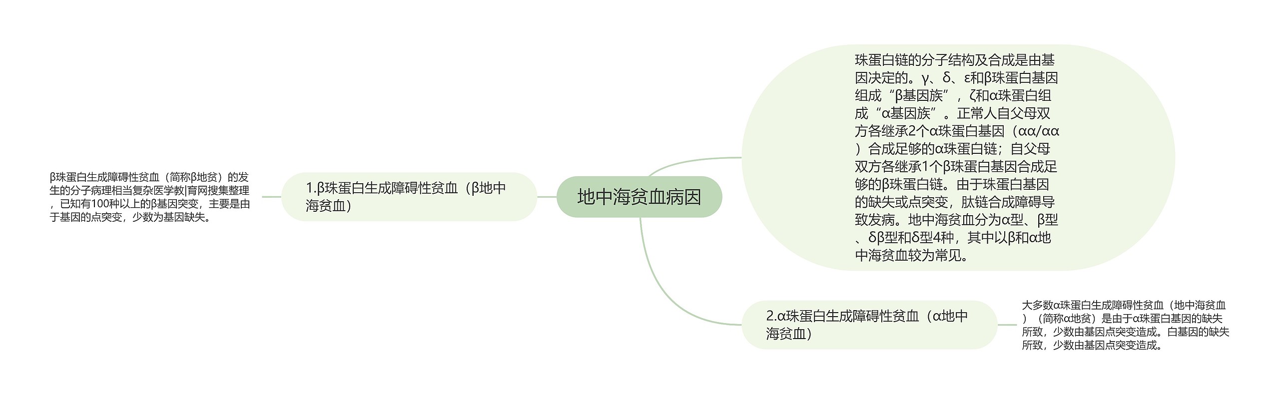 地中海贫血病因思维导图