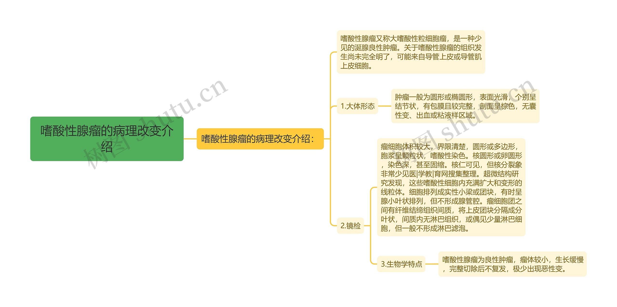 嗜酸性腺瘤的病理改变介绍思维导图