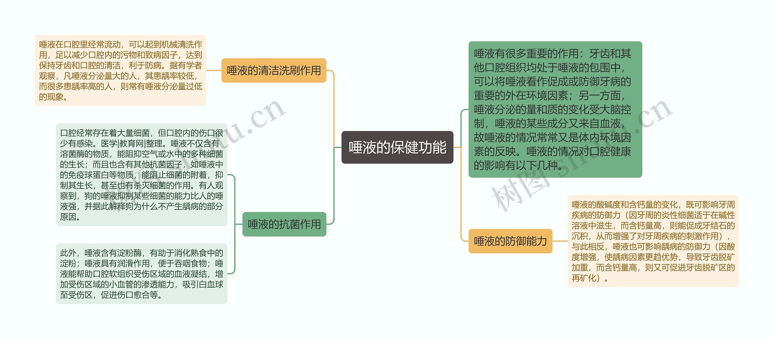 唾液的保健功能