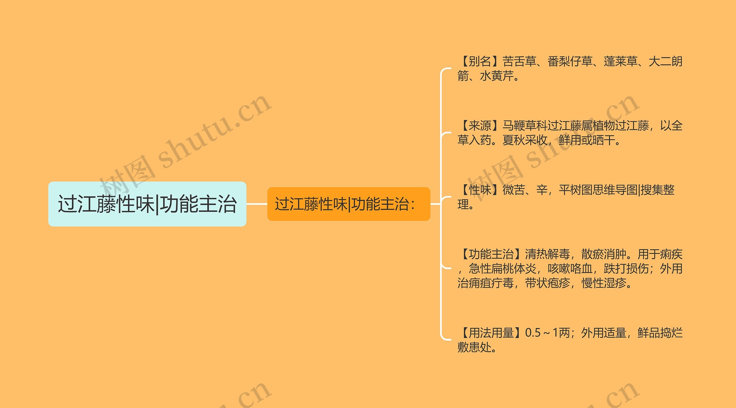 过江藤性味|功能主治思维导图