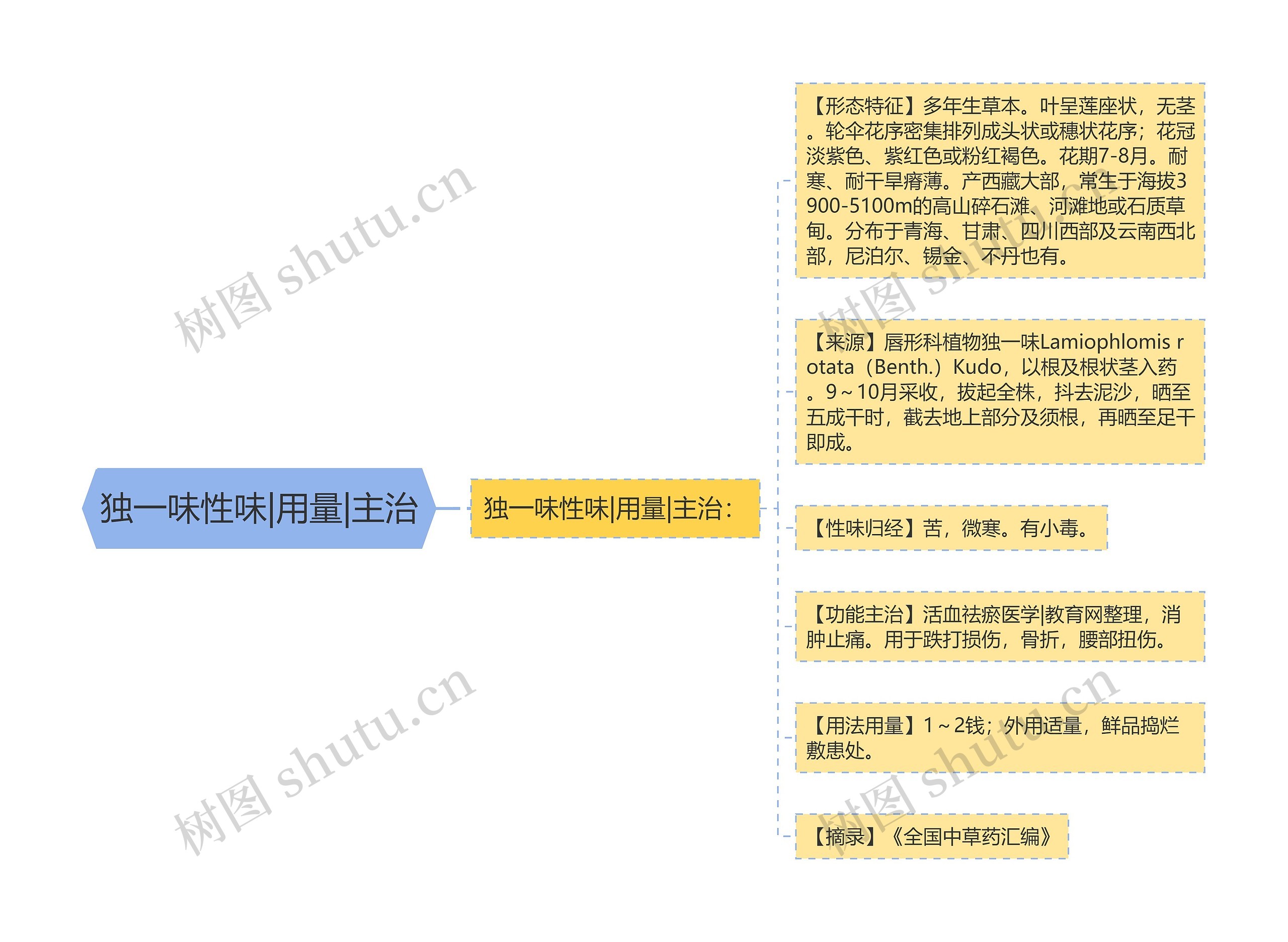 独一味性味|用量|主治思维导图