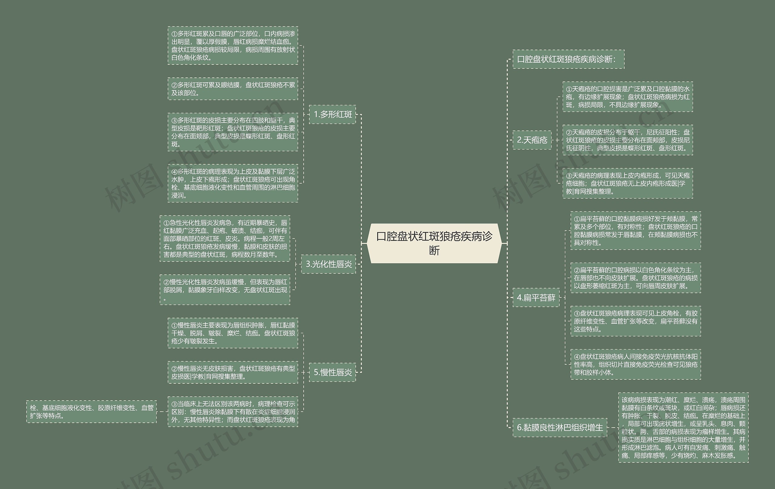 口腔盘状红斑狼疮疾病诊断思维导图