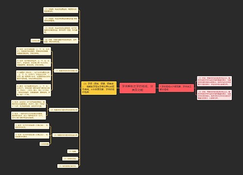 牙体解剖之牙的组成、分类及功能