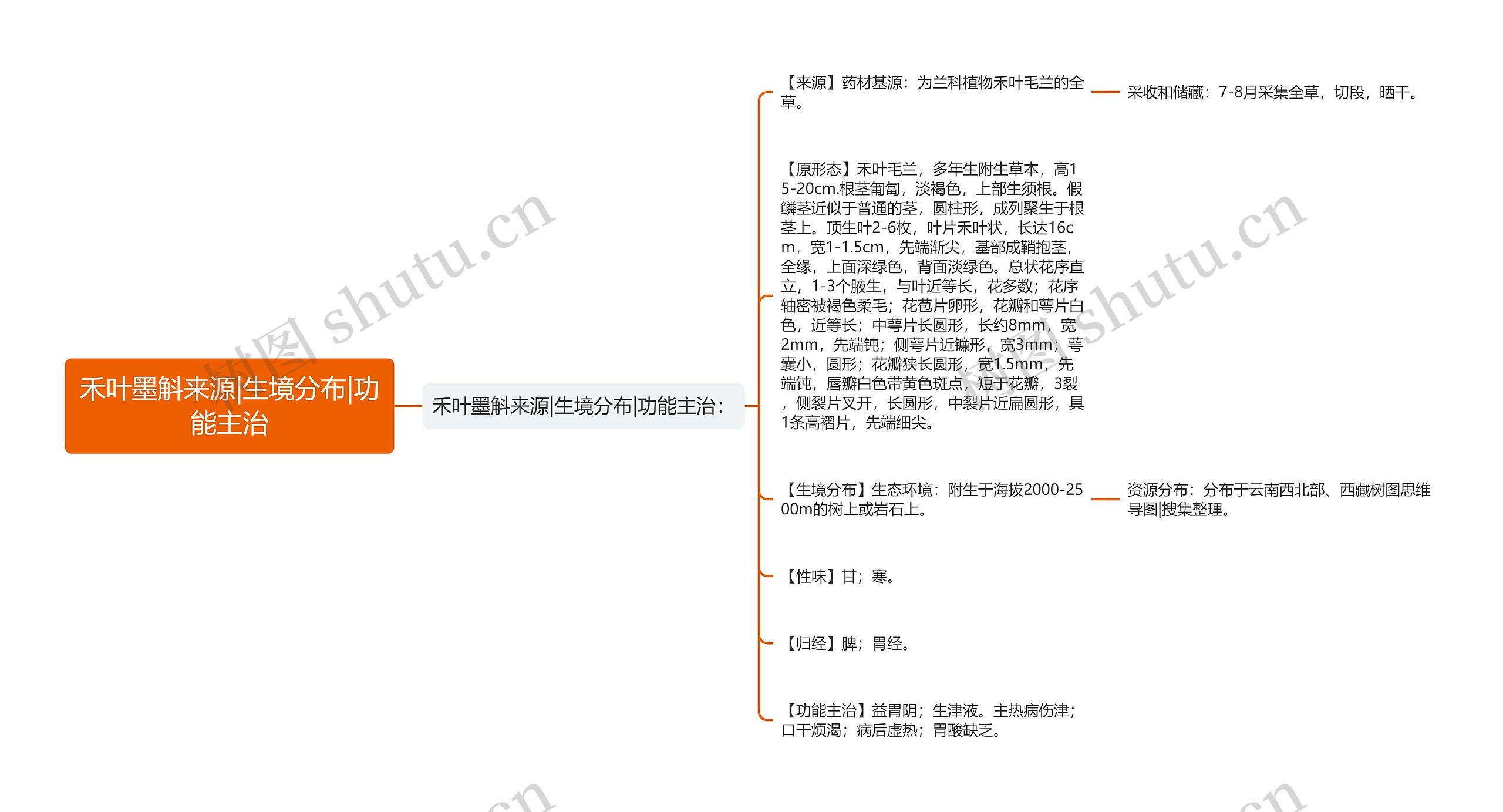 禾叶墨斛来源|生境分布|功能主治