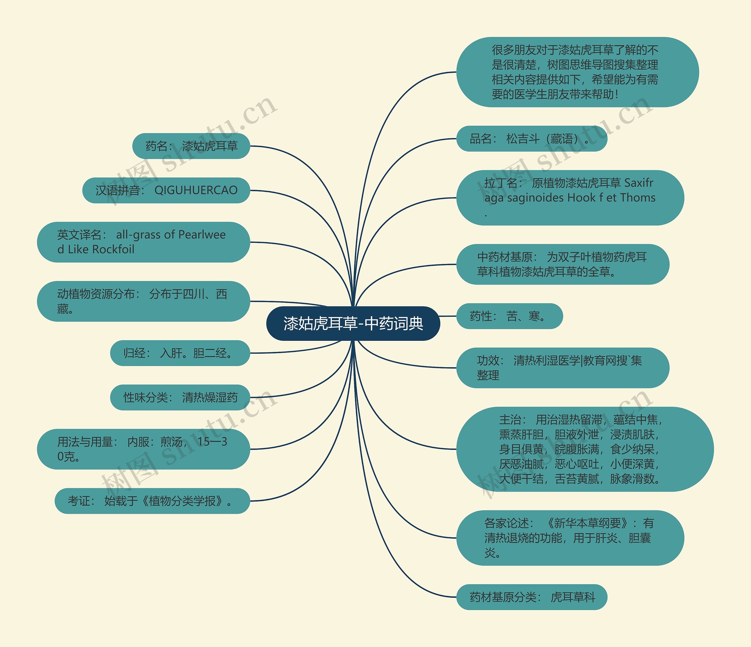 漆姑虎耳草-中药词典思维导图