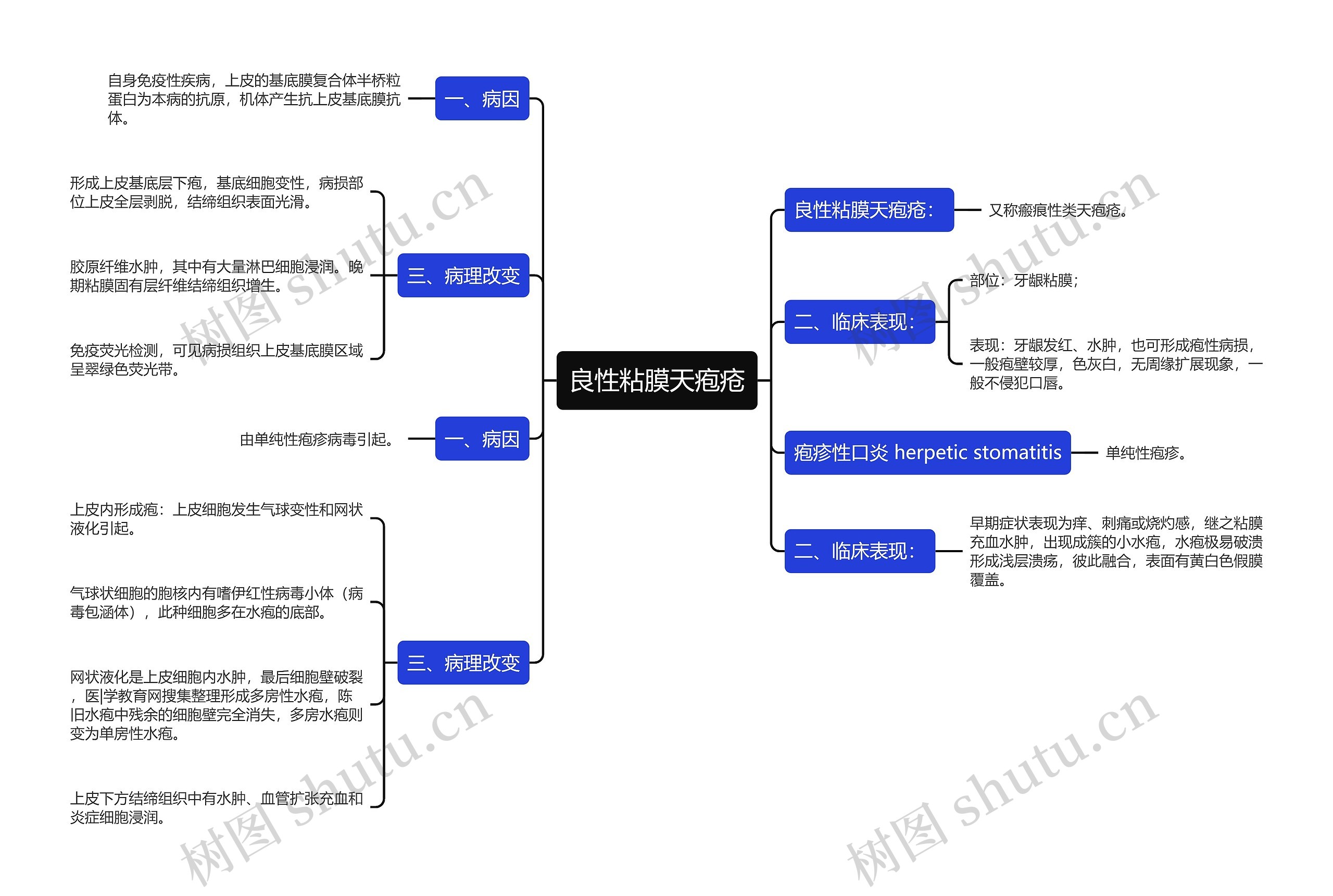 良性粘膜天疱疮思维导图