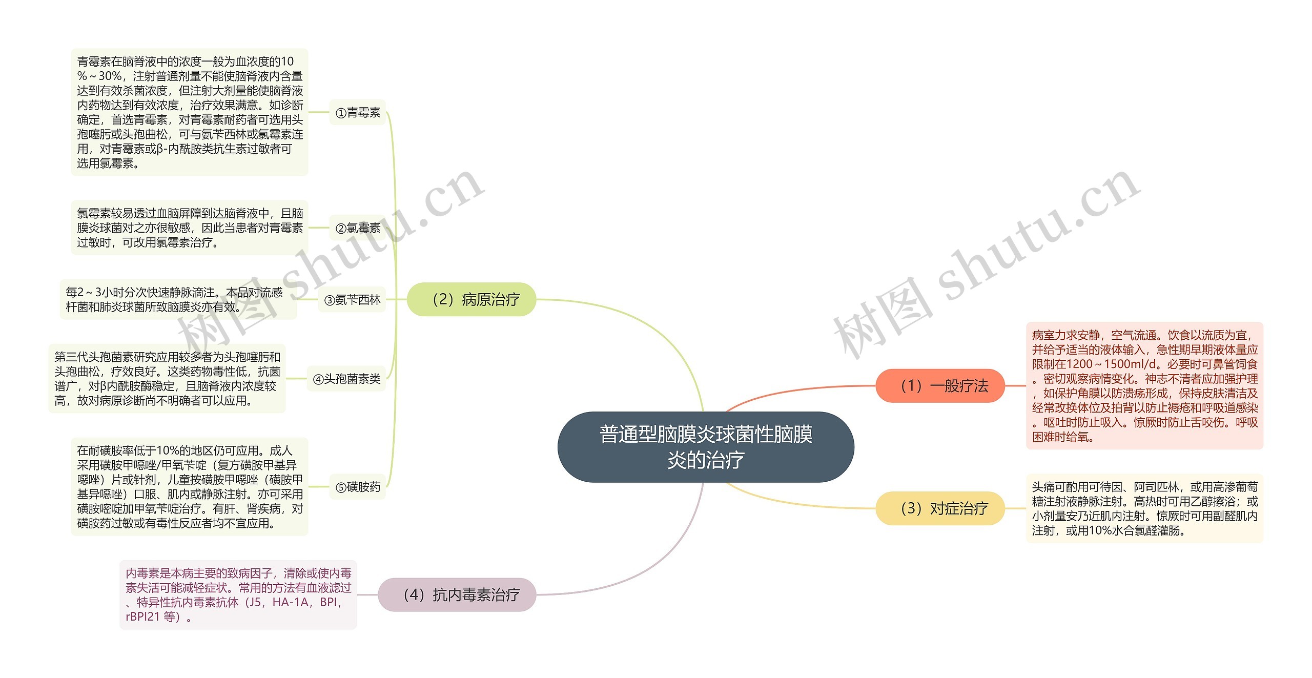 普通型脑膜炎球菌性脑膜炎的治疗思维导图