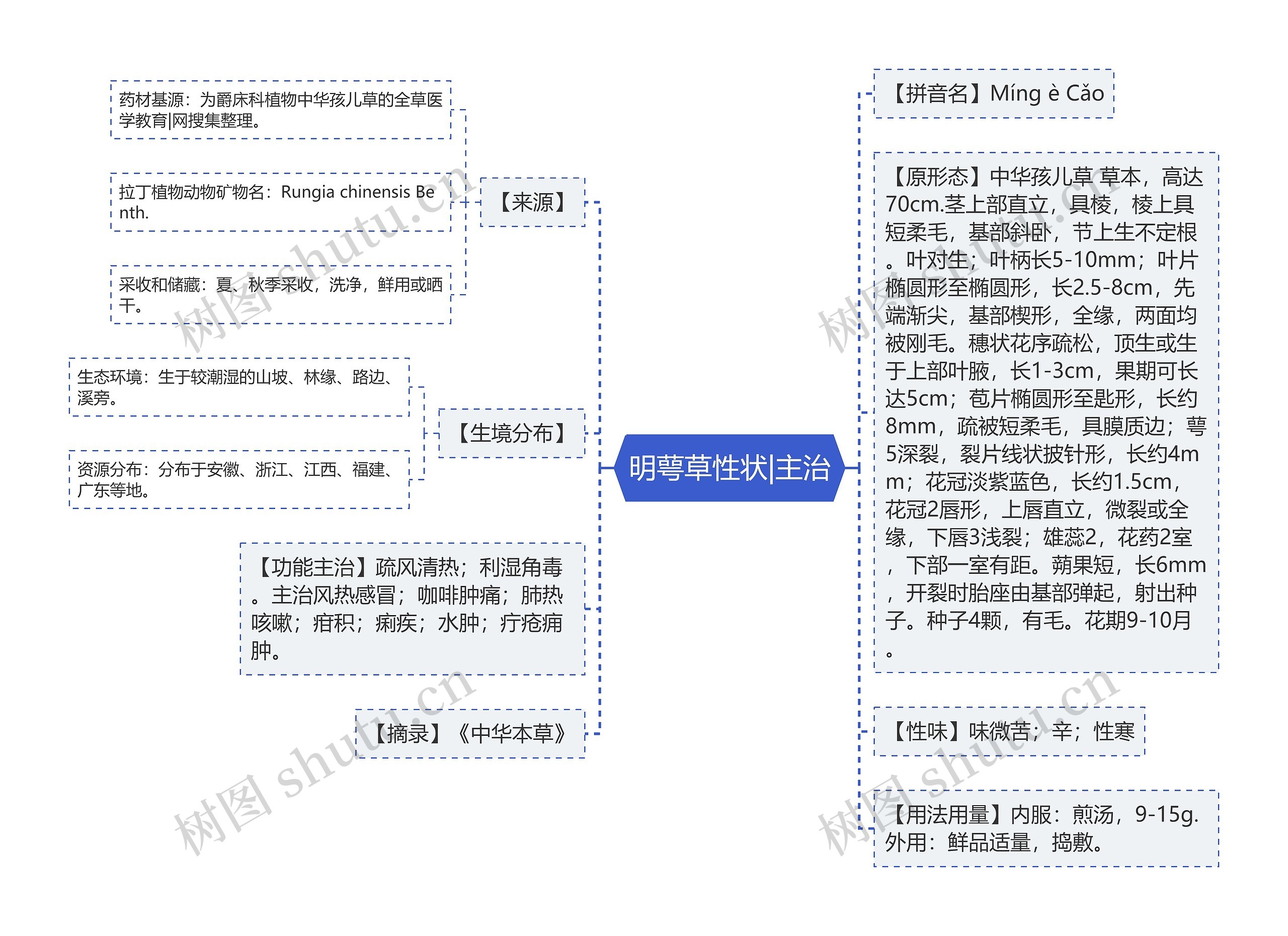 明萼草性状|主治思维导图