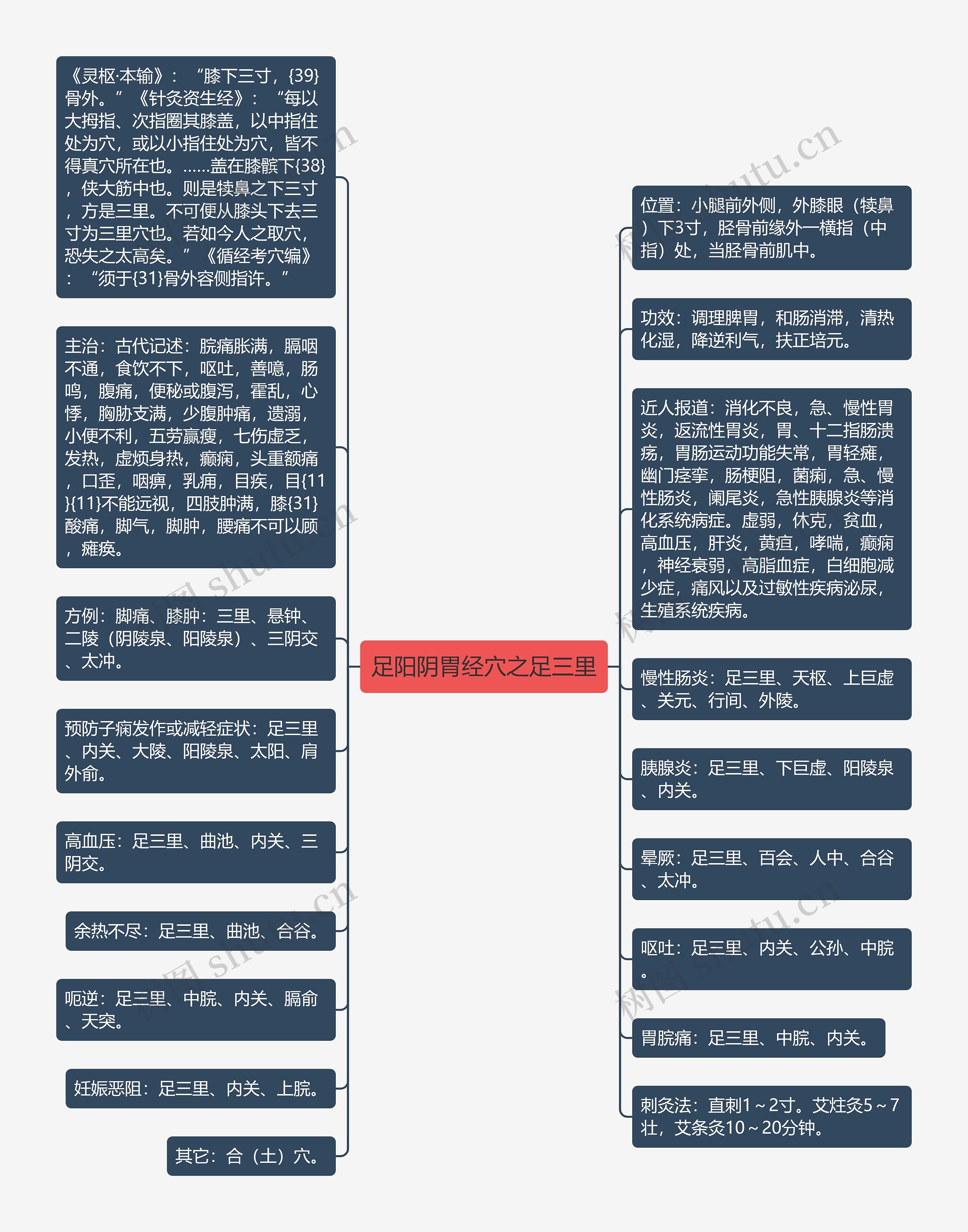 足阳阴胃经穴之足三里思维导图