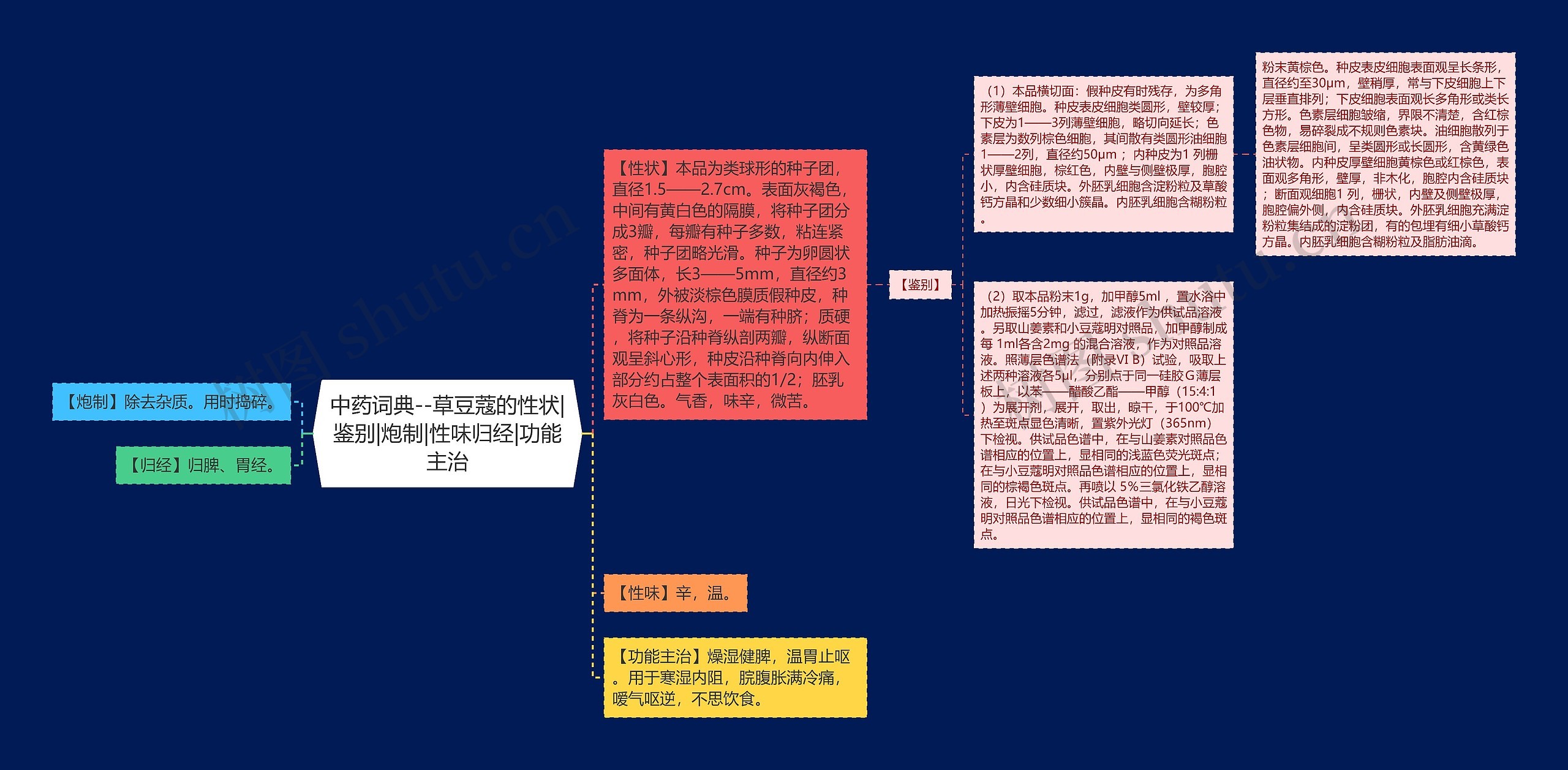 中药词典--草豆蔻的性状|鉴别|炮制|性味归经|功能主治