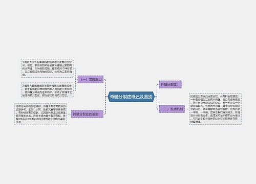 脊髓分裂症概述及鉴别