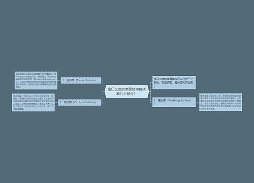 全口义齿的表面结构包括哪几个部分？