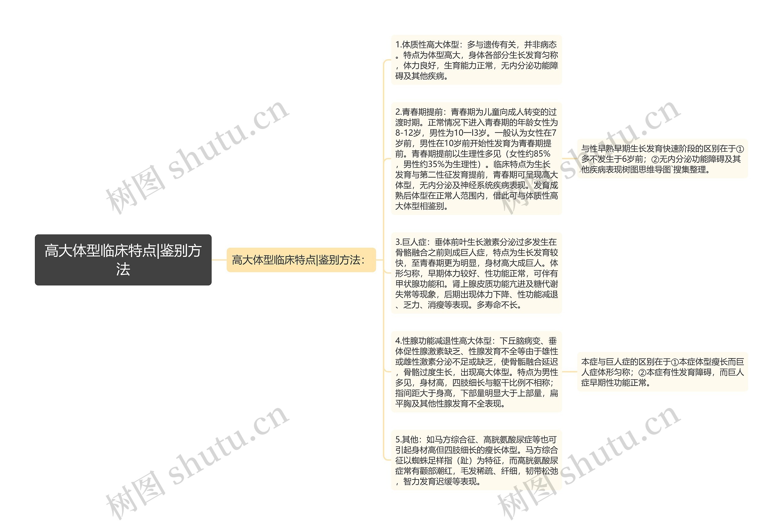 高大体型临床特点|鉴别方法思维导图