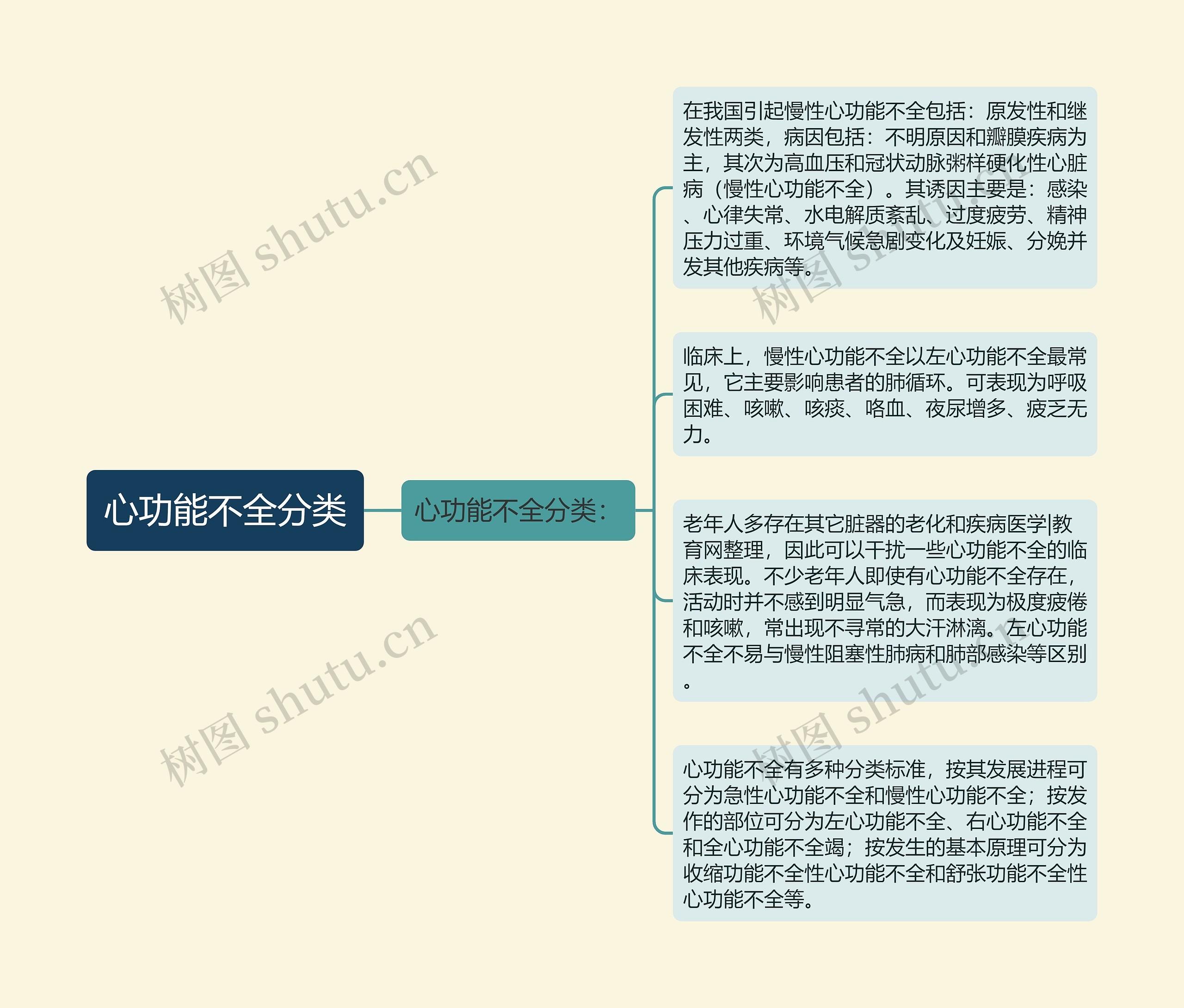 心功能不全分类