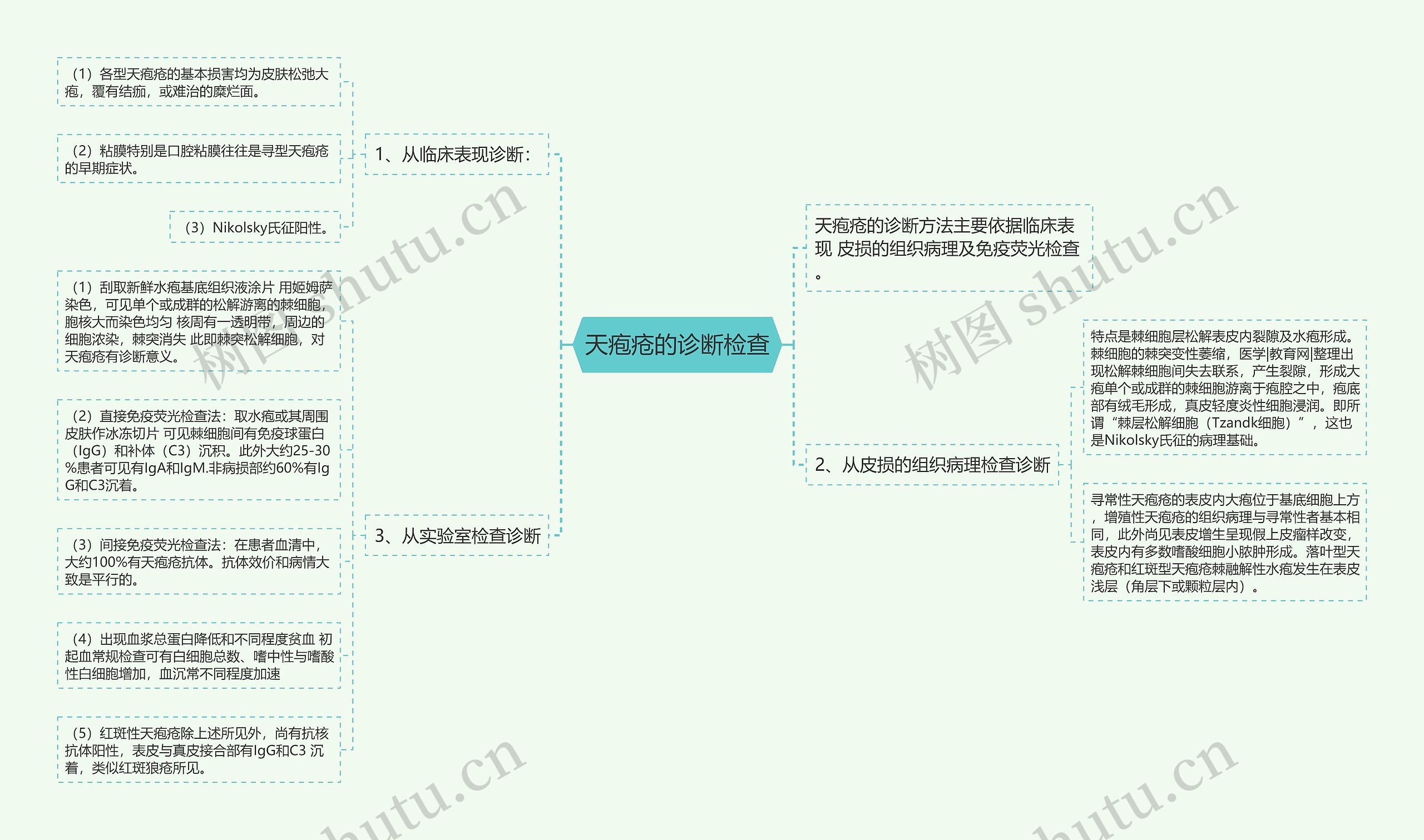 天疱疮的诊断检查思维导图