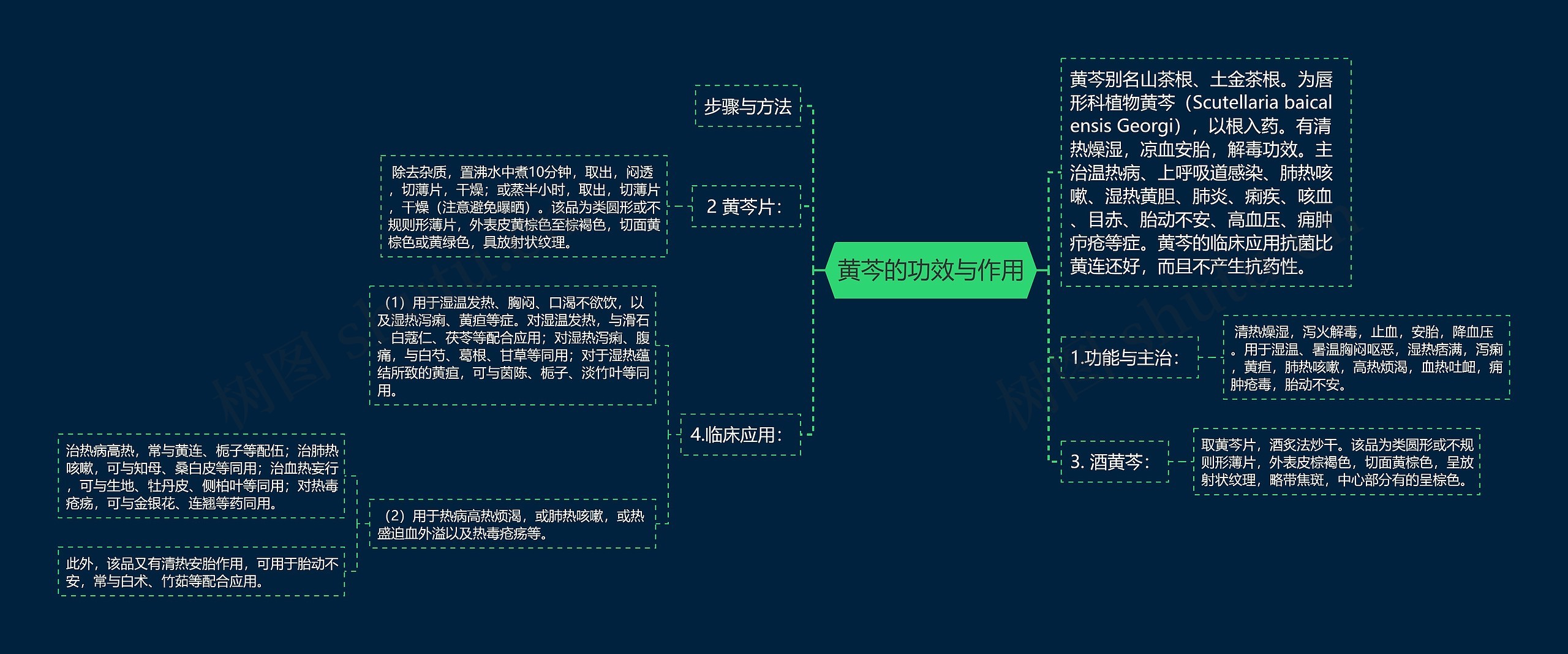 黄芩的功效与作用