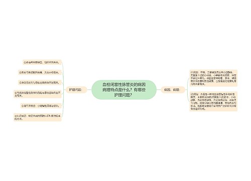 血栓闭塞性脉管炎的病因病理特点是什么？有哪些护理问题？