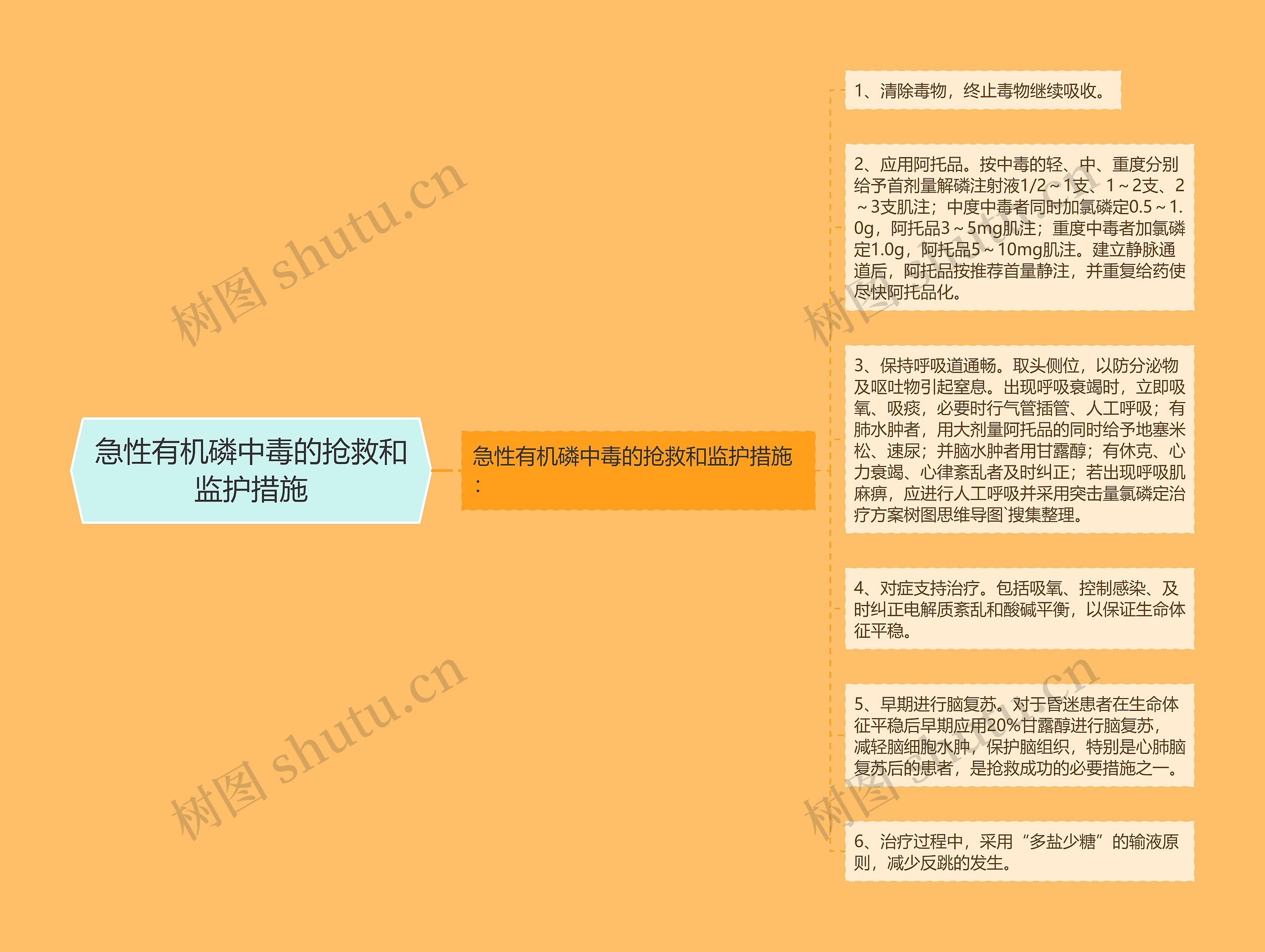 急性有机磷中毒的抢救和监护措施思维导图