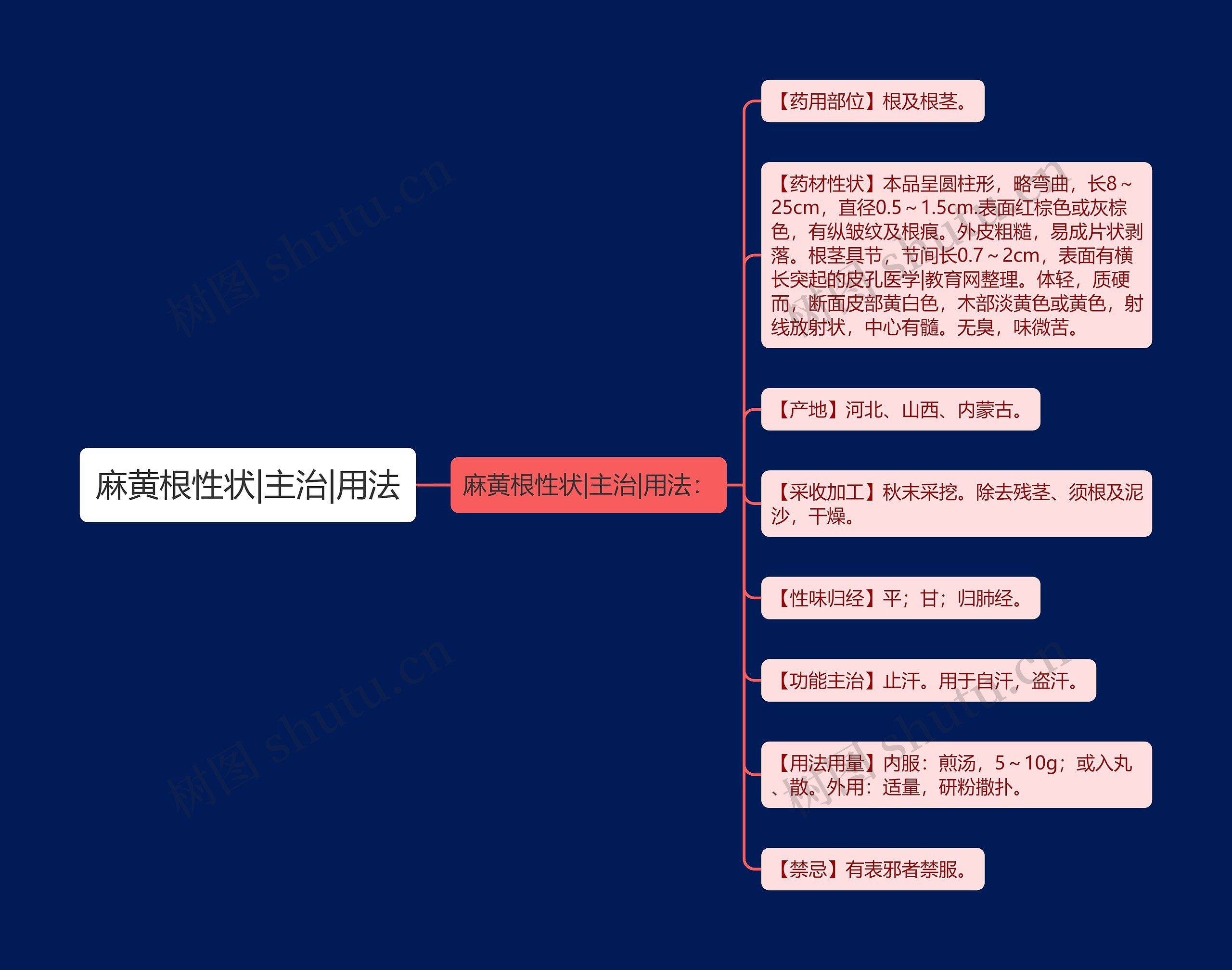 麻黄根性状|主治|用法思维导图