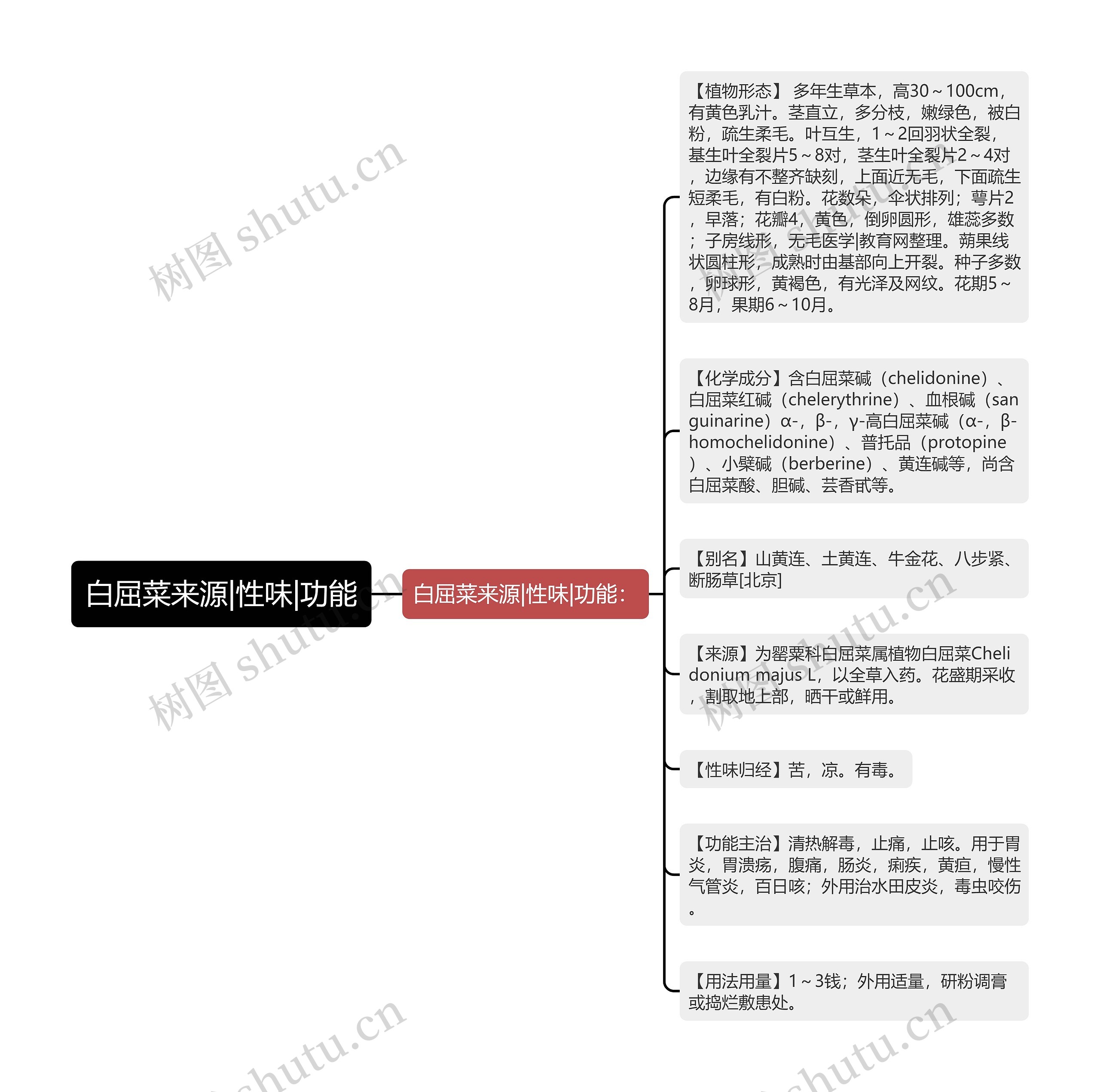 白屈菜来源|性味|功能思维导图