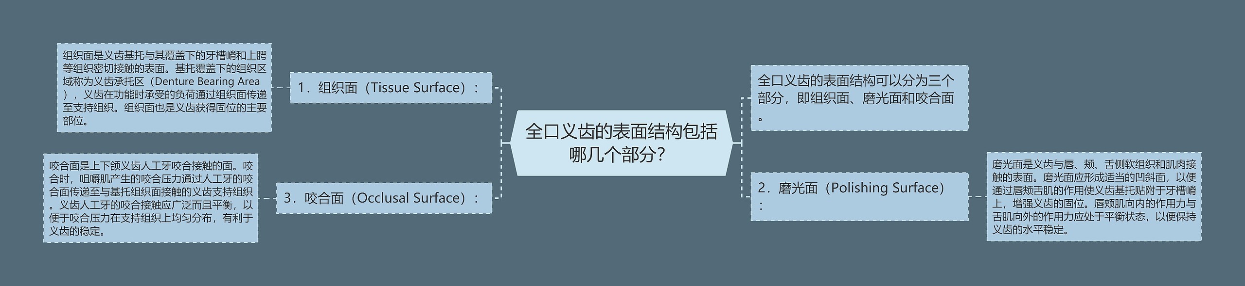 全口义齿的表面结构包括哪几个部分？思维导图