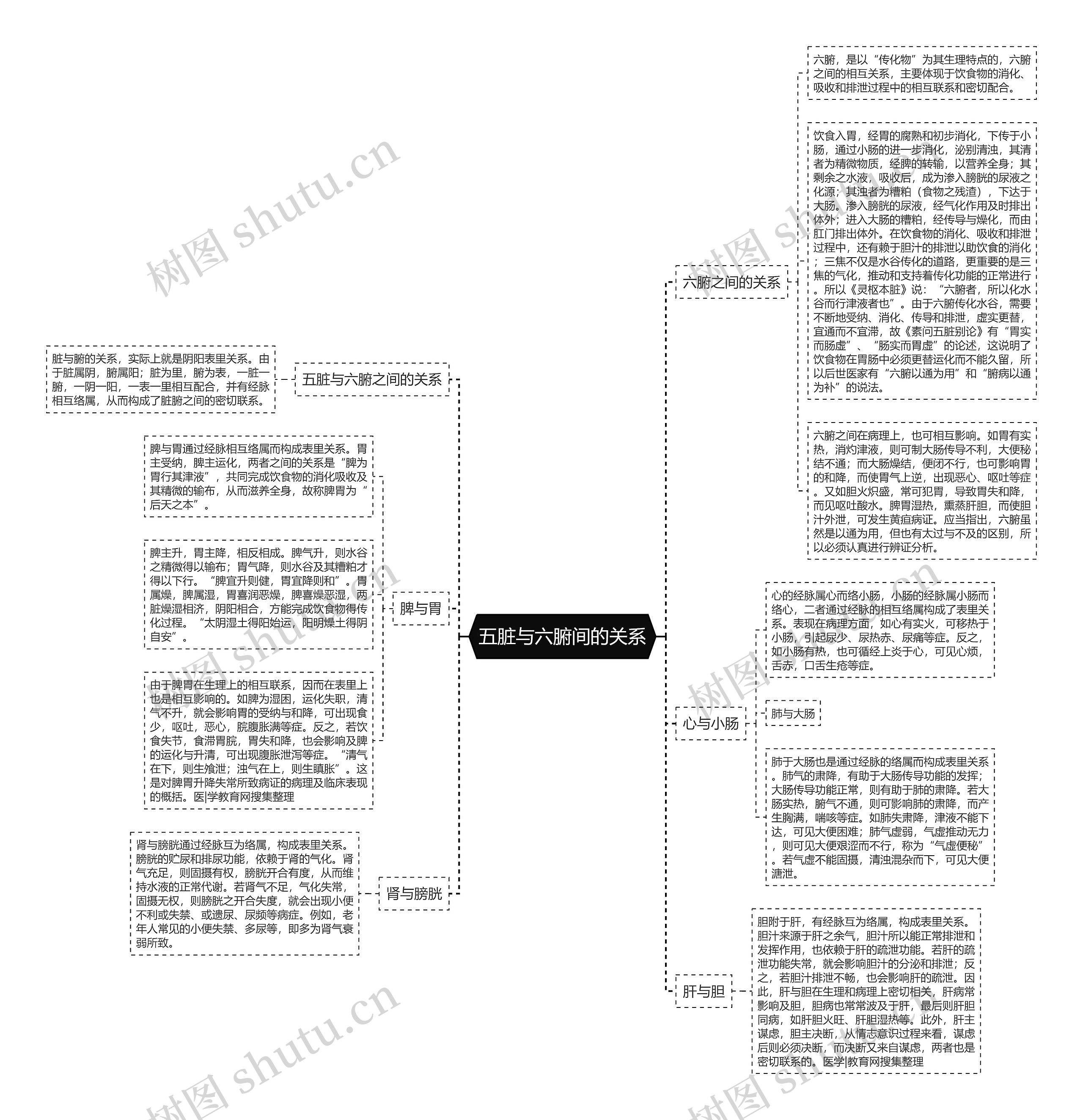 五脏与六腑间的关系思维导图