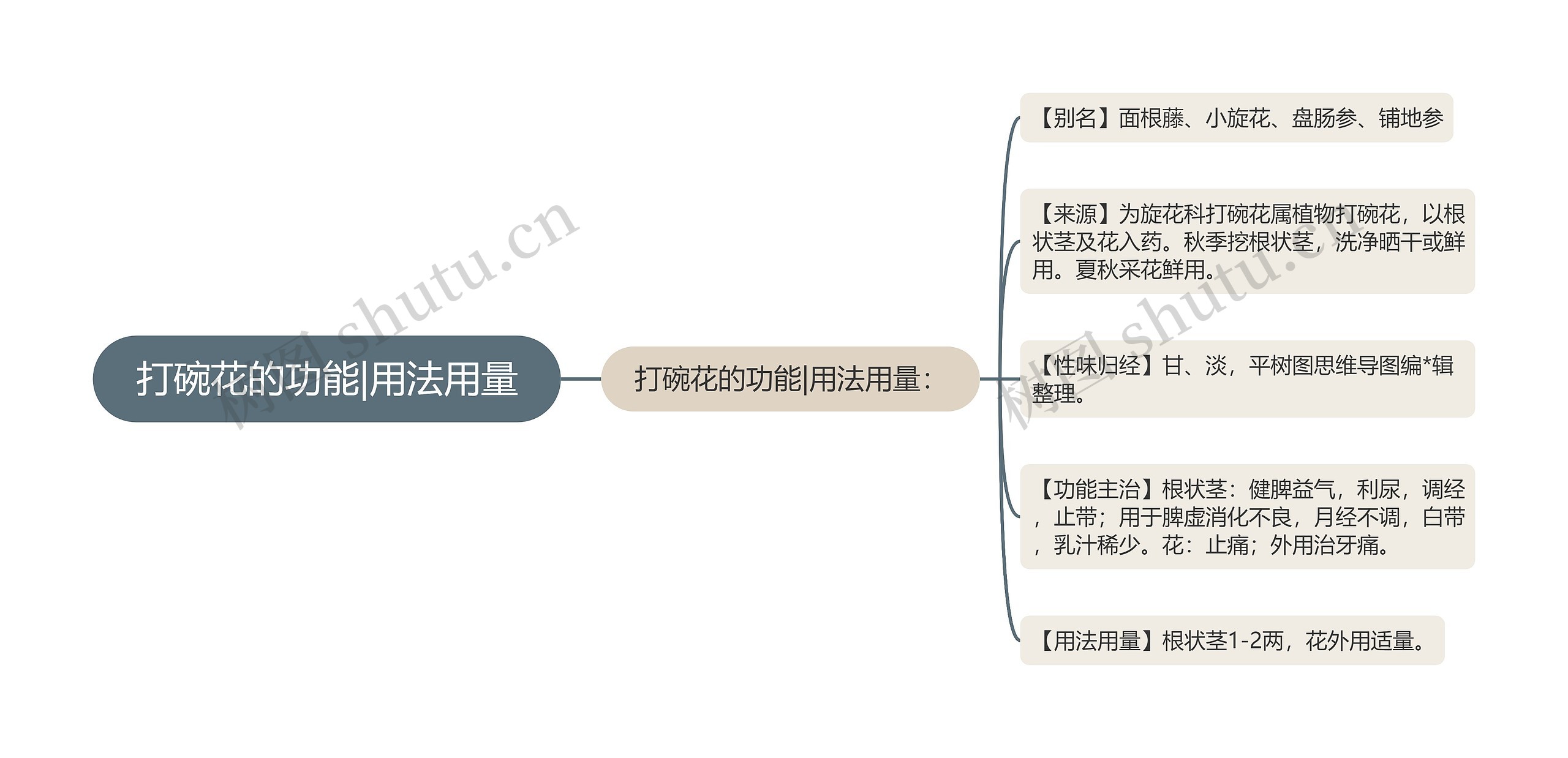 打碗花的功能|用法用量思维导图