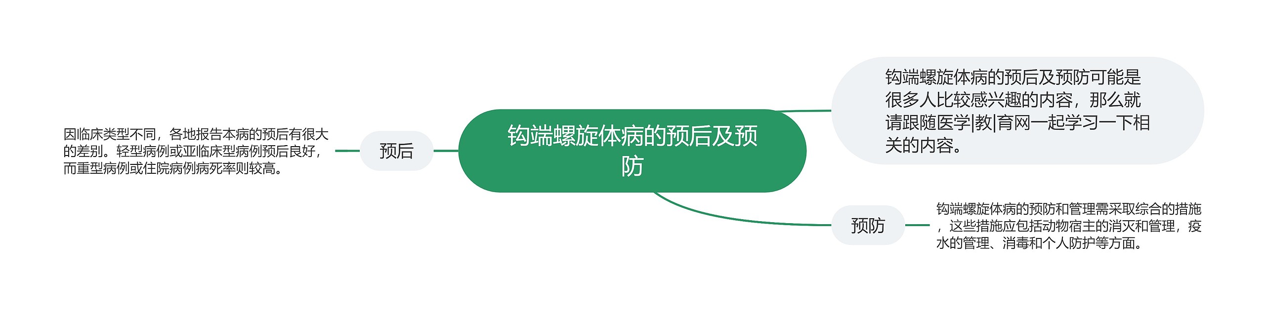 钩端螺旋体病的预后及预防 钩端螺旋体病的预后及预防