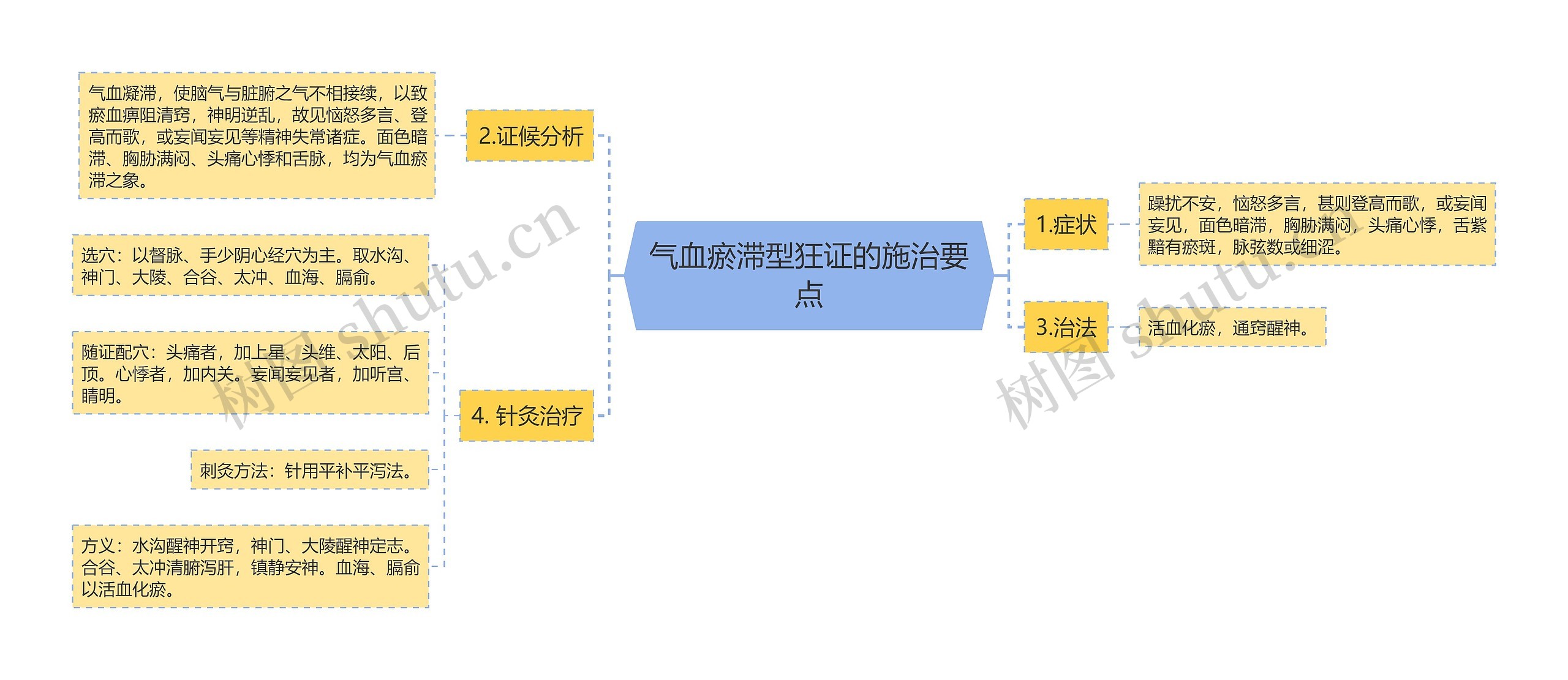 气血瘀滞型狂证的施治要点思维导图