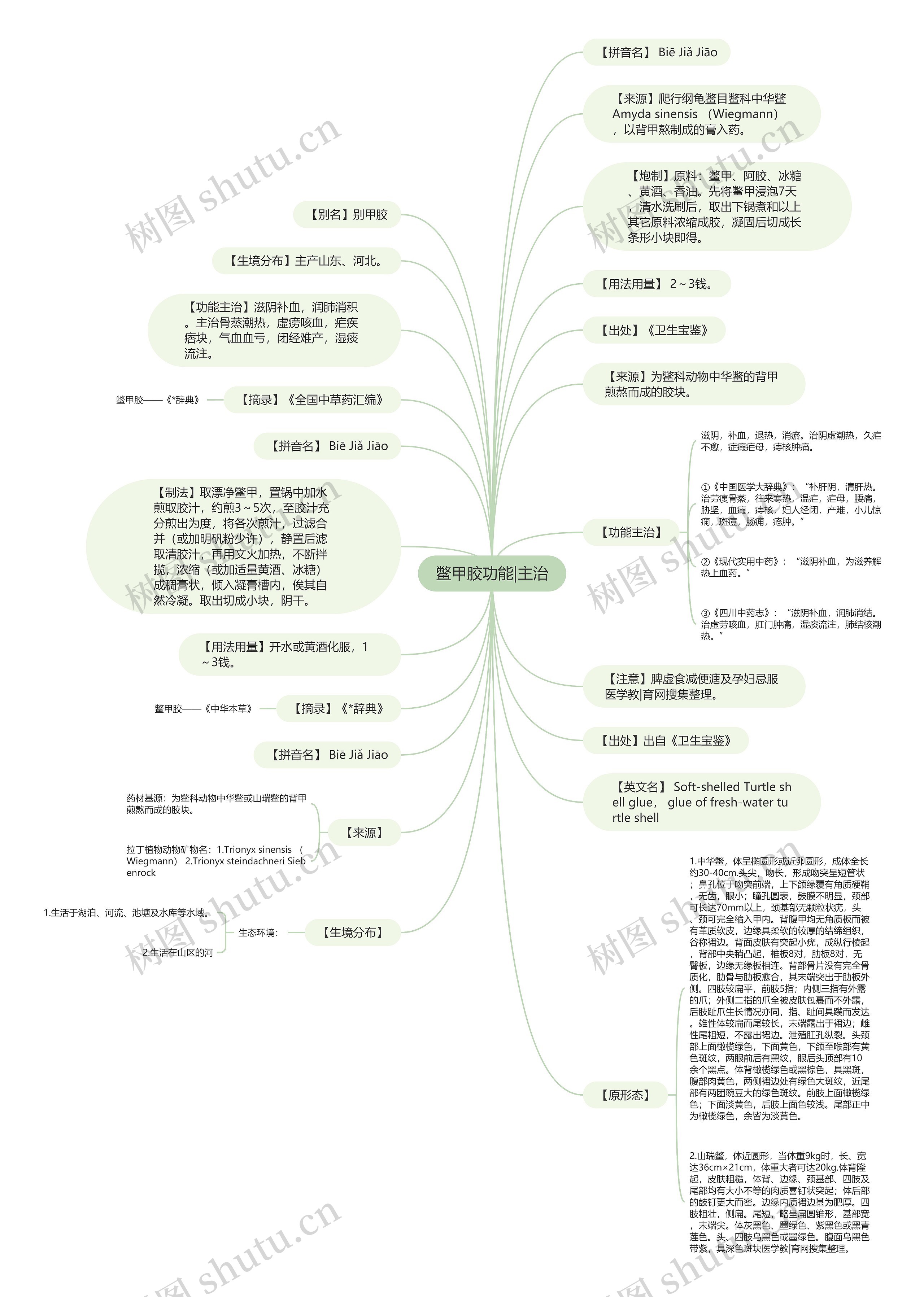 鳖甲胶功能|主治思维导图