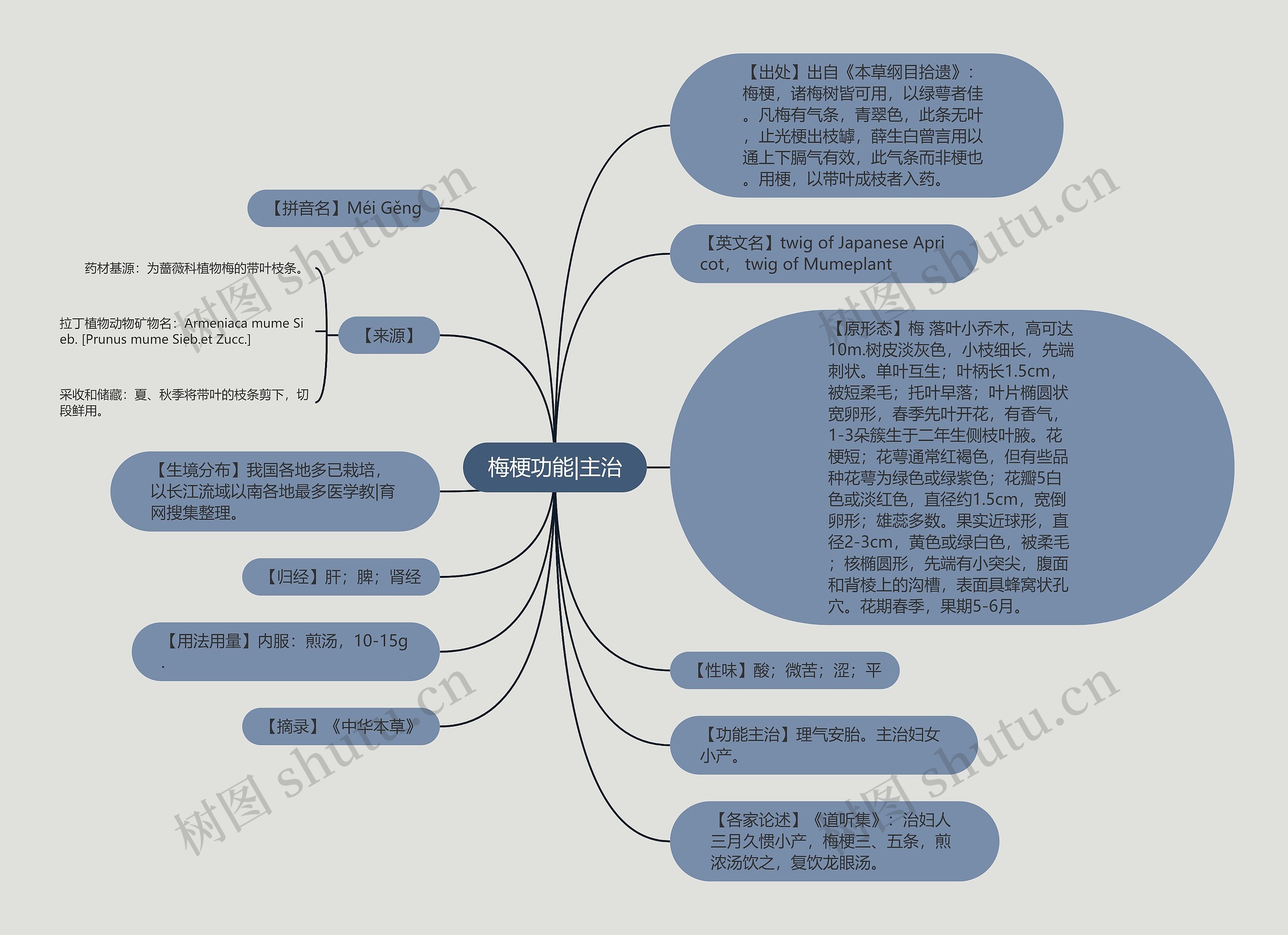 梅梗功能|主治 梅梗功能|主治