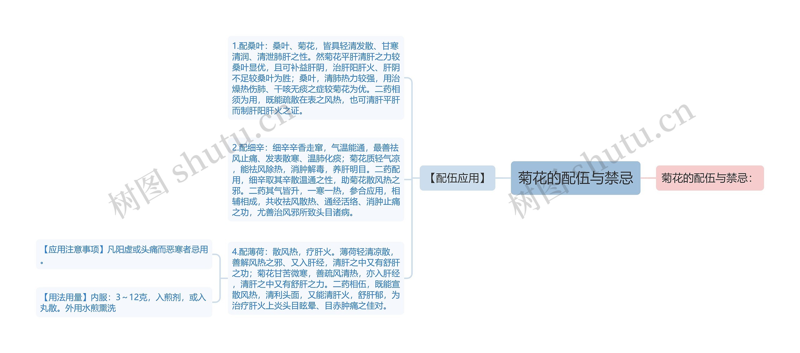 菊花的配伍与禁忌 菊花的配伍与禁忌