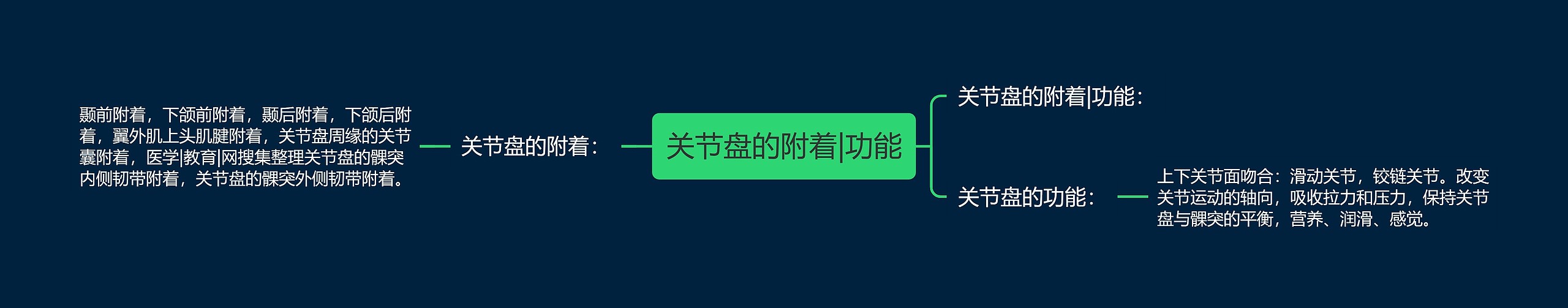 关节盘的附着|功能 关节盘的附着|功能