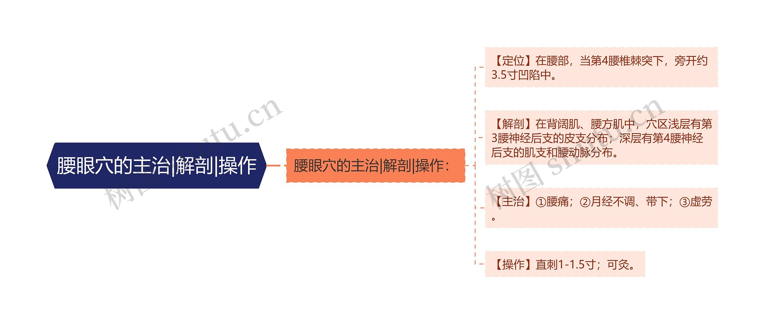 腰眼穴的主治|解剖|操作