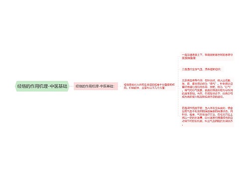 经络的作用机理-中医基础