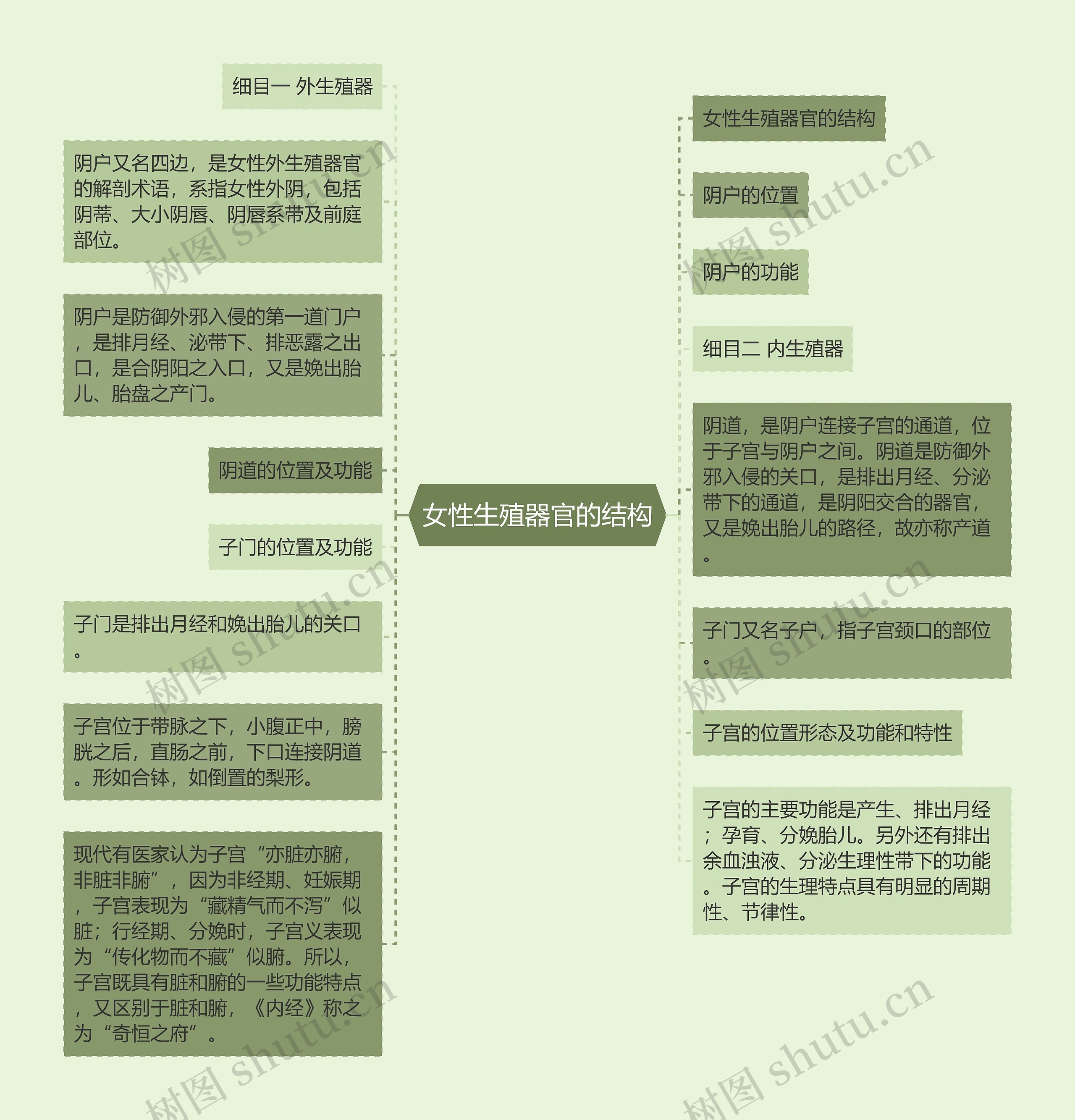 女性生殖器官的结构 女性生殖器官的结构