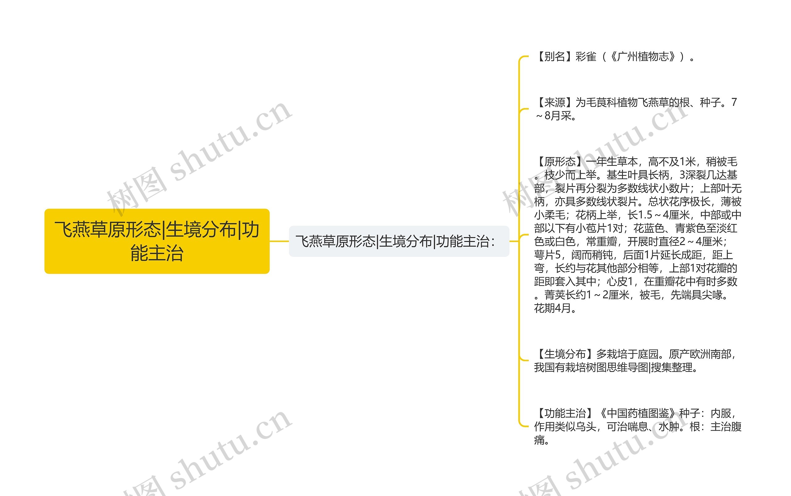 飞燕草原形态|生境分布|功能主治