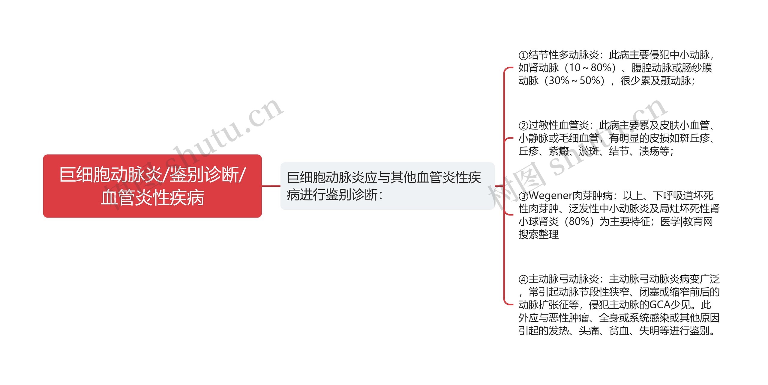 巨细胞动脉炎/鉴别诊断/血管炎性疾病