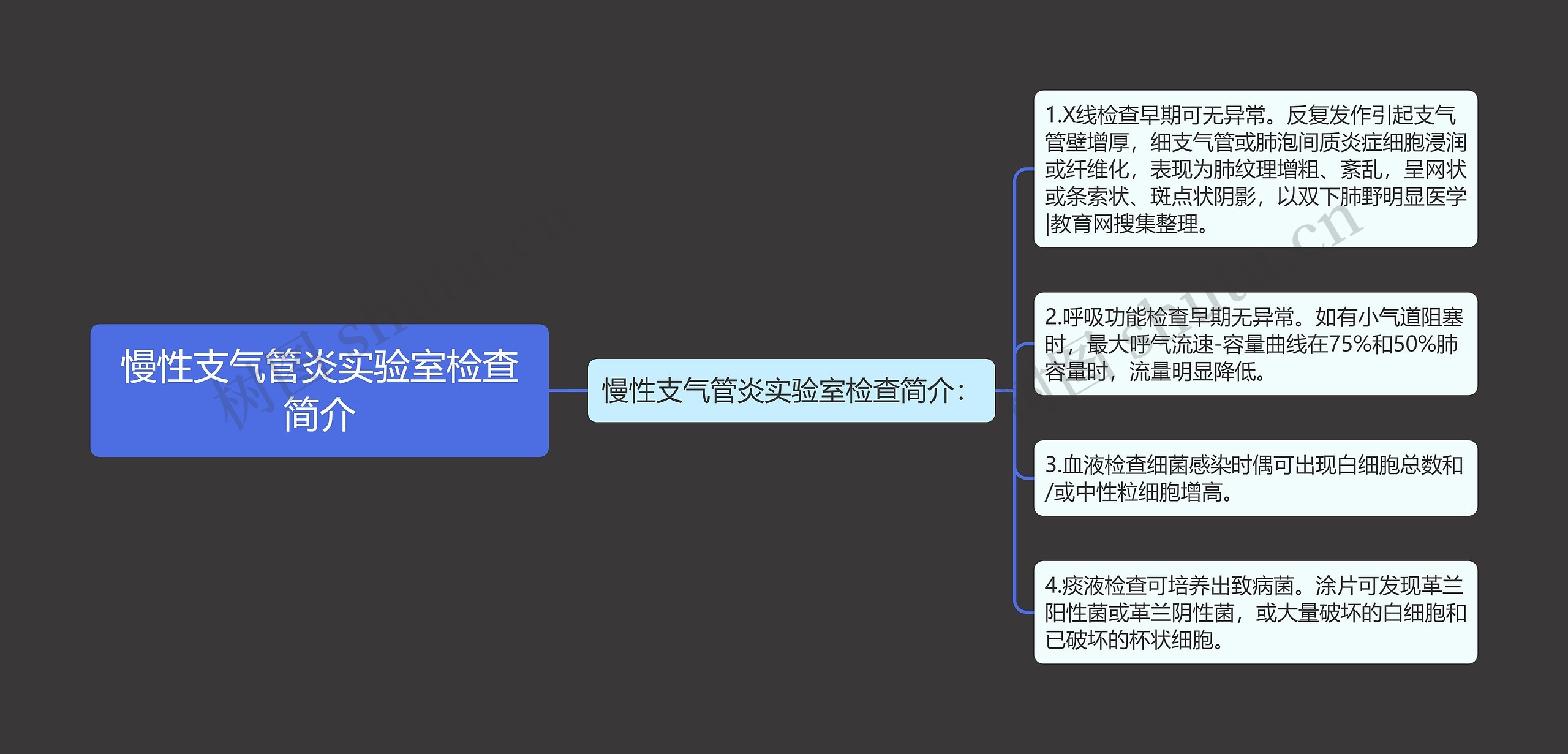 慢性支气管炎实验室检查简介思维导图